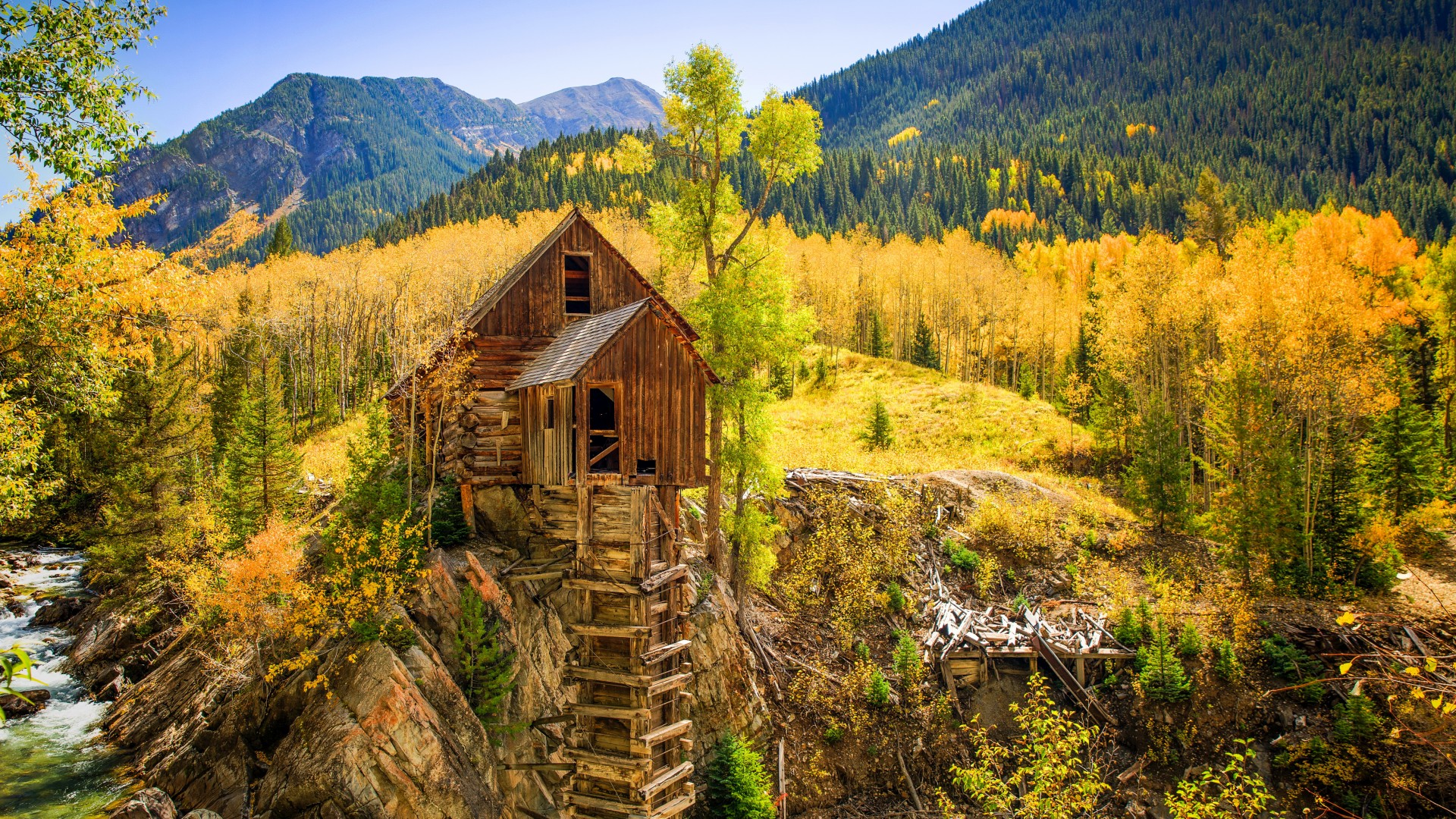 колготки, осень, фор