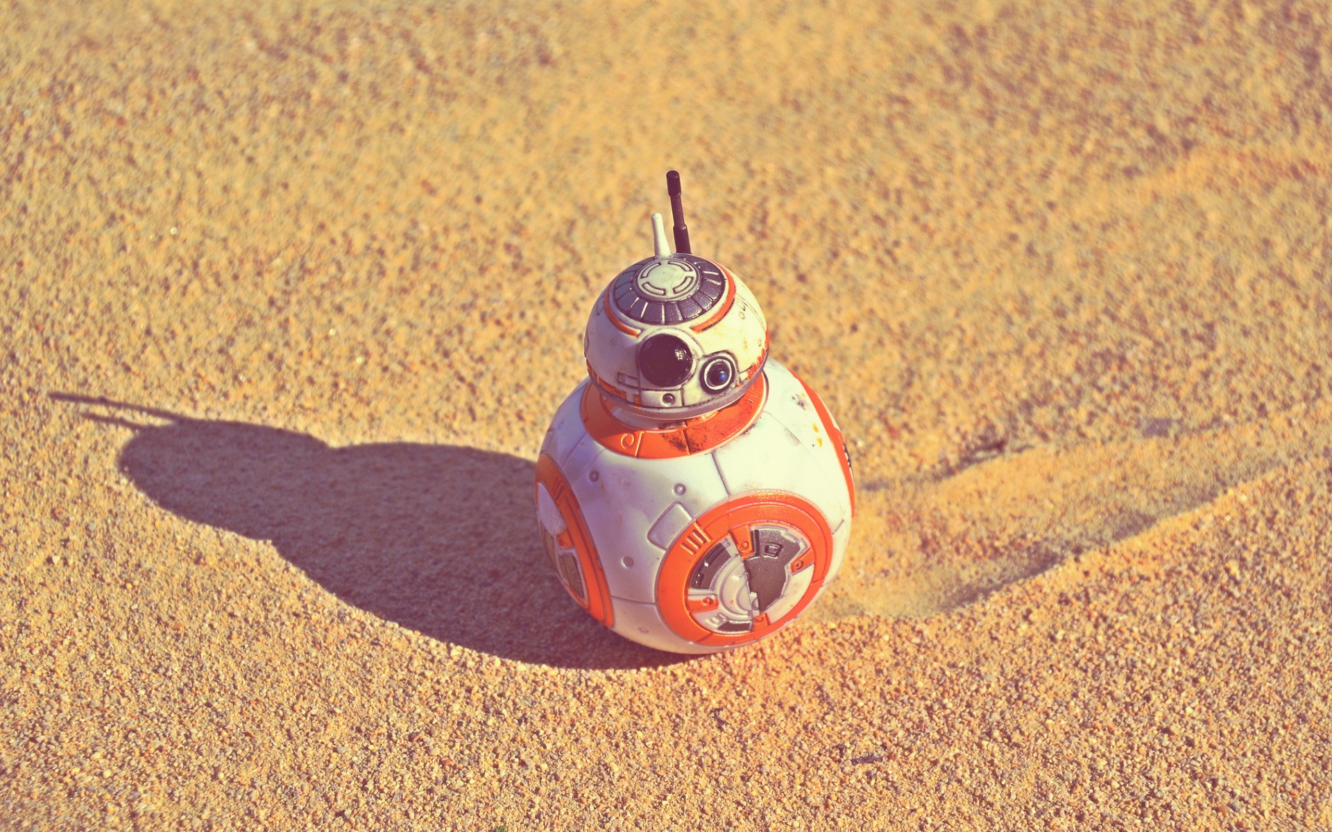 война, звезда