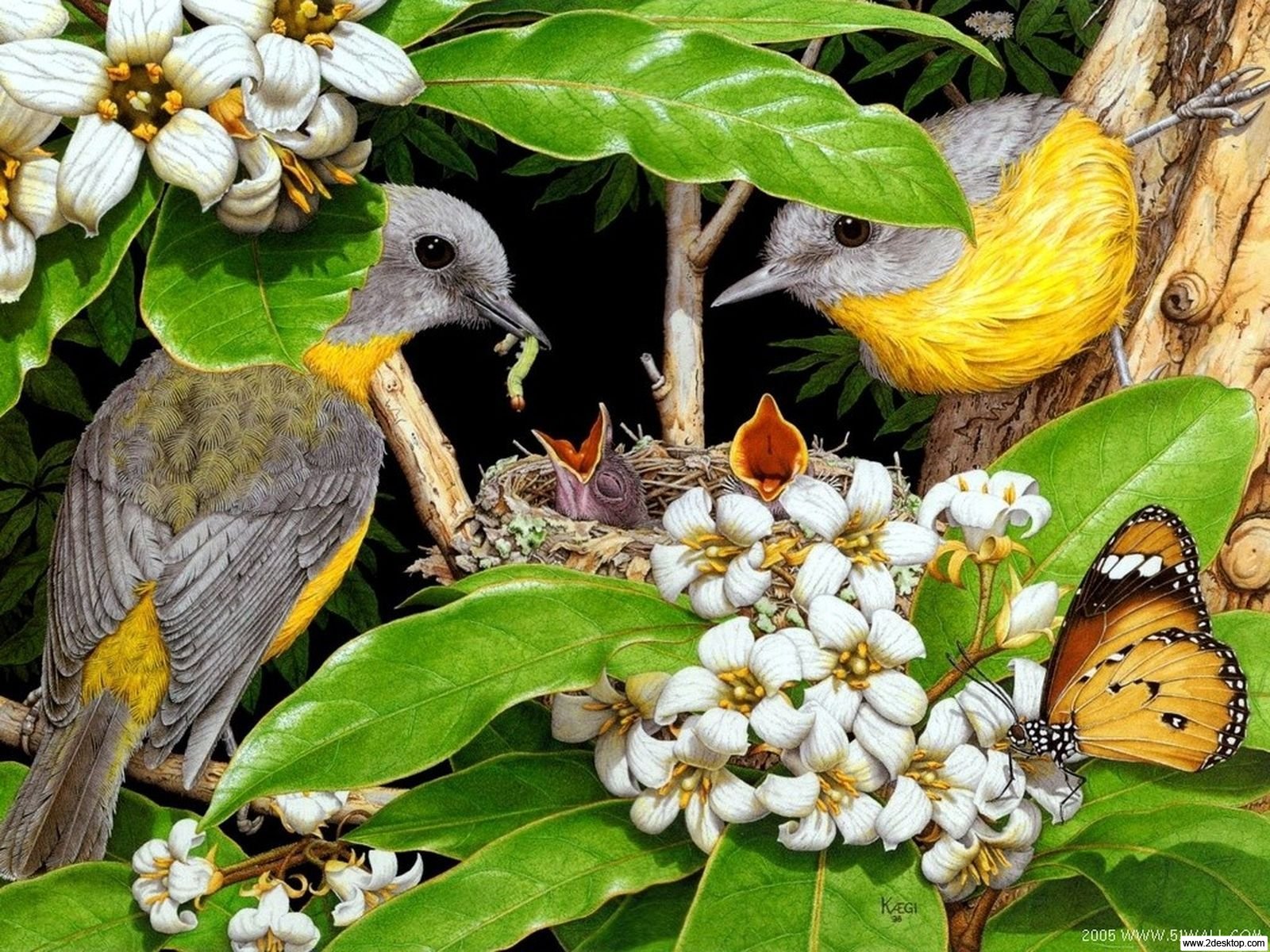 природа, рисованная, красивые