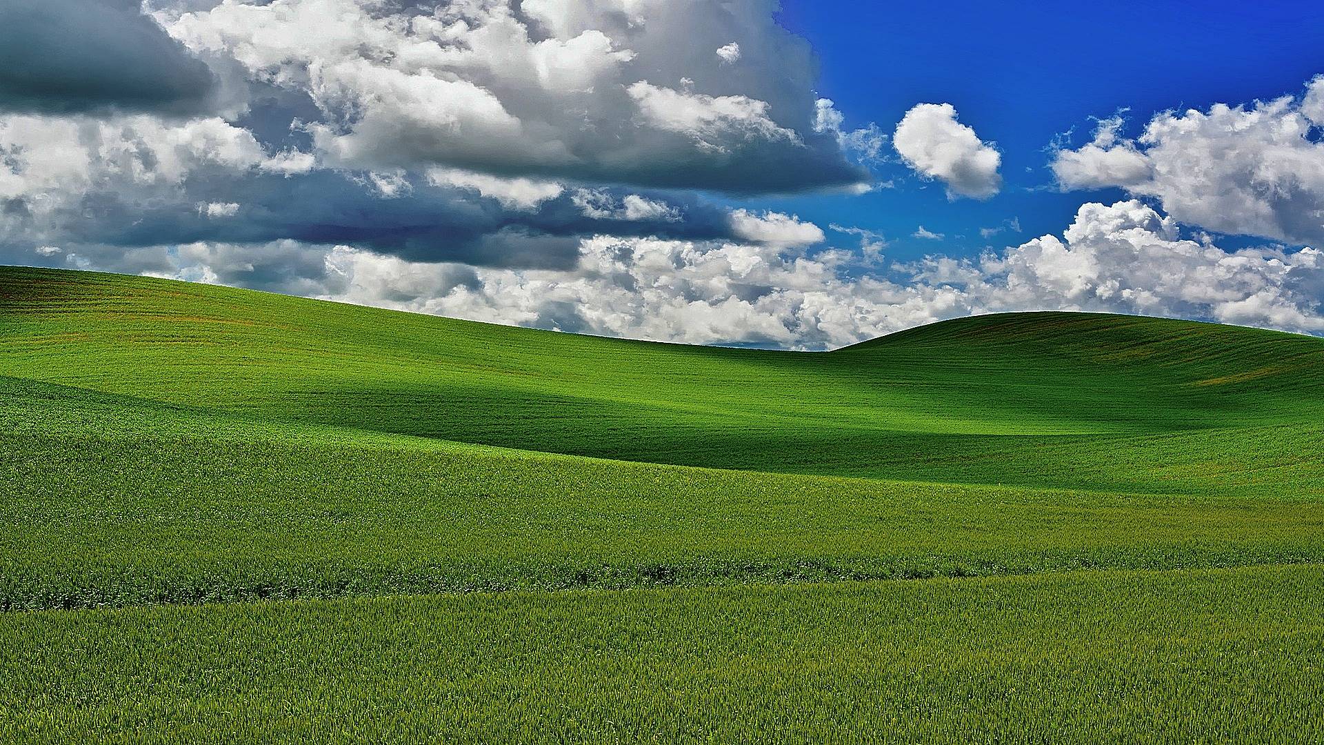 raspraco shchykii, google