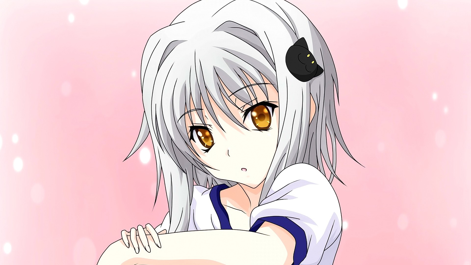 dxd, школа, высокие