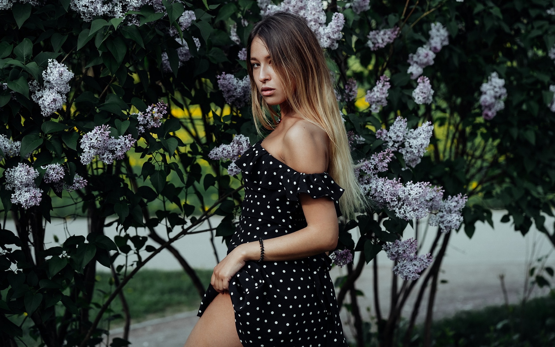 леди, доброфонобой, любительское