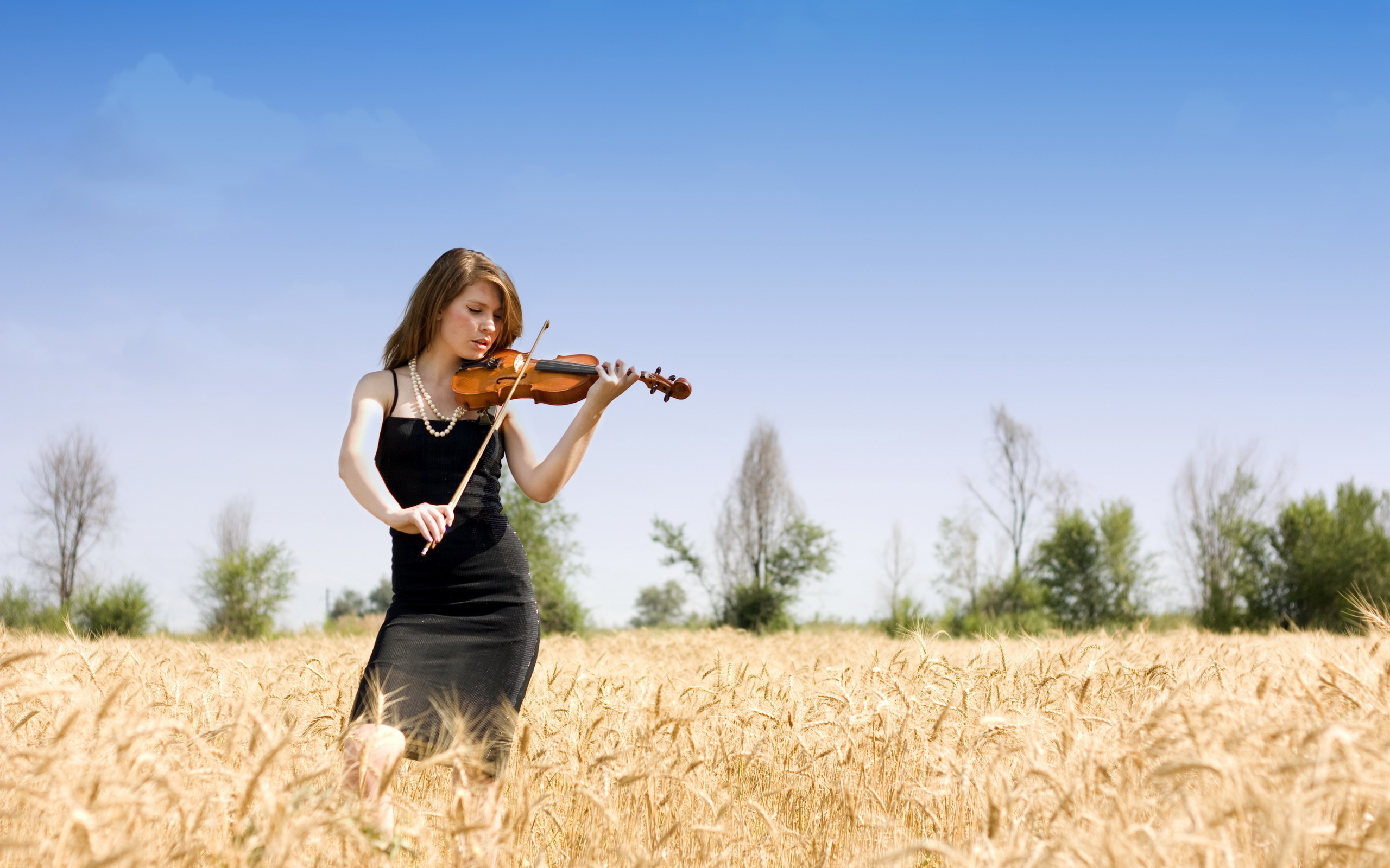 Музыка красивой жизни. Девушки со скрипкой. Фотосессия со скрипкой. Скрипка фото. Девушка со скрипкой на природе.