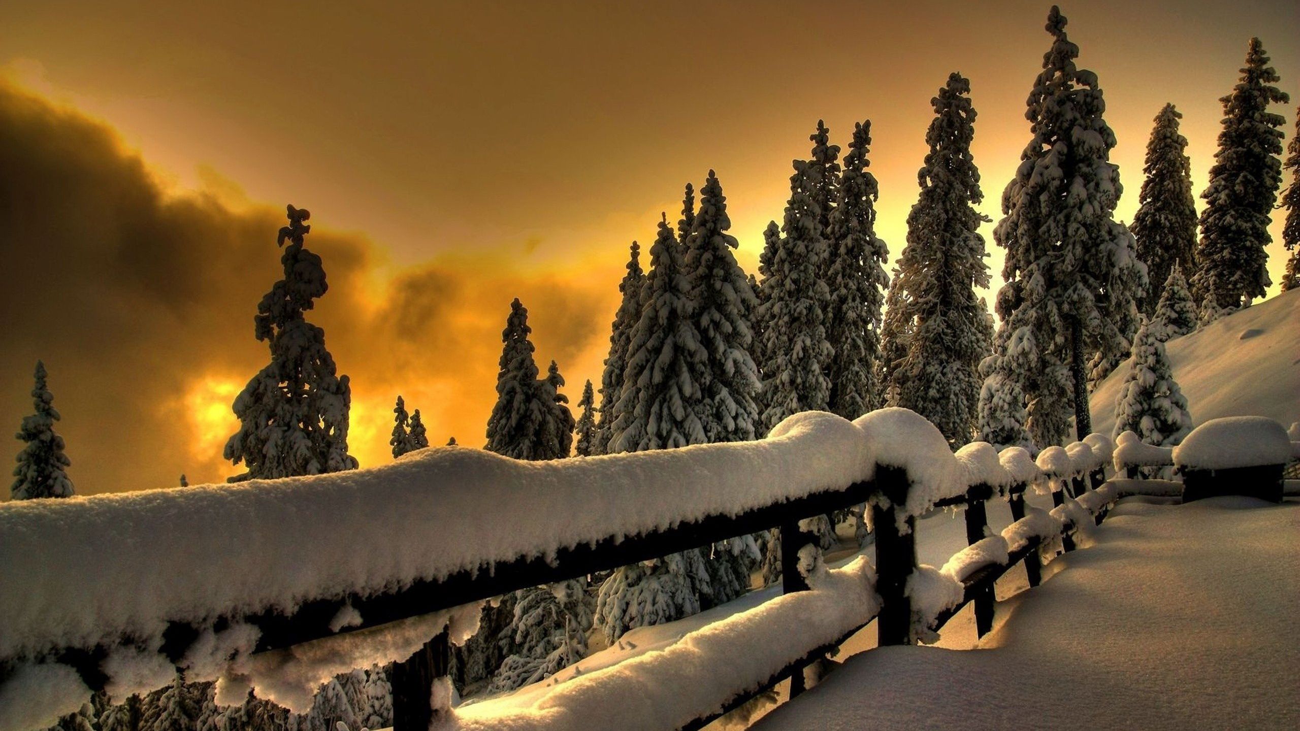 зима, холод