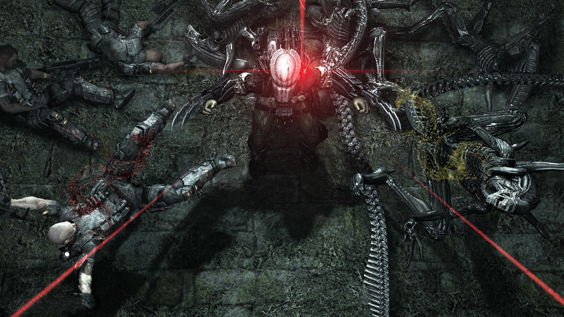 xenomorph, art