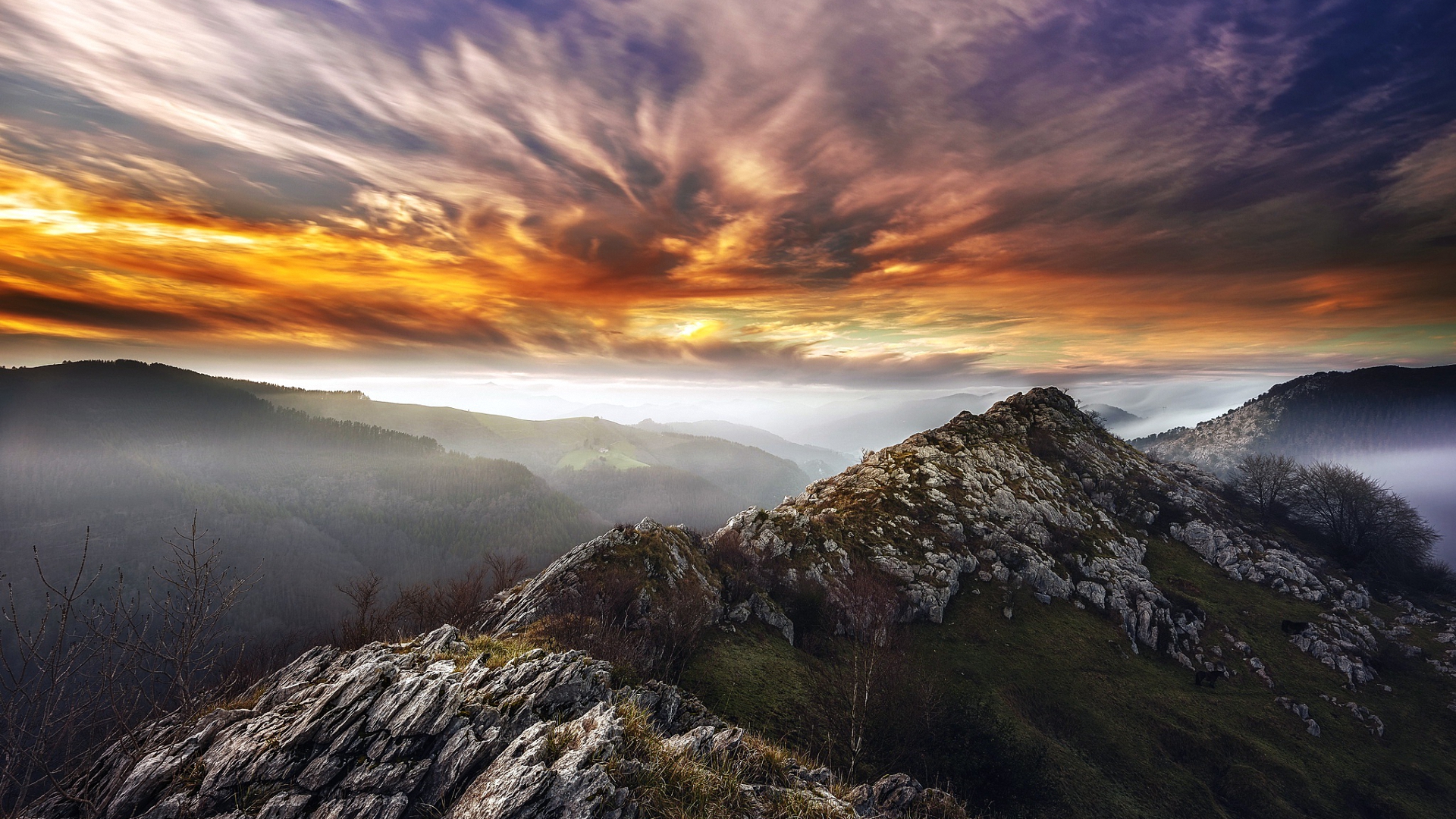 telefunken, суу, гу