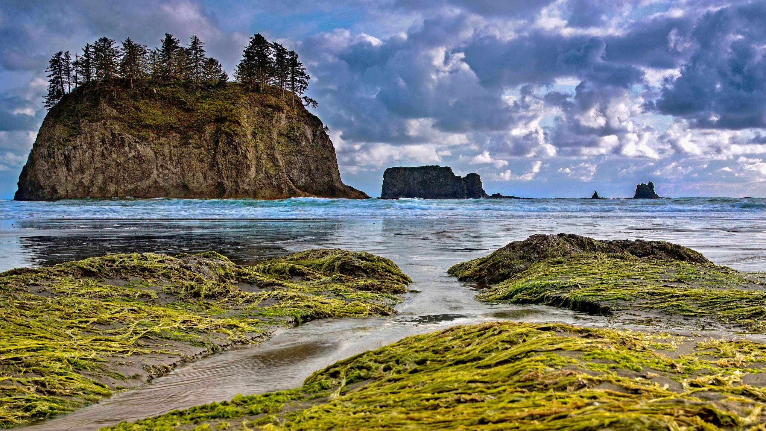 парк, национальный