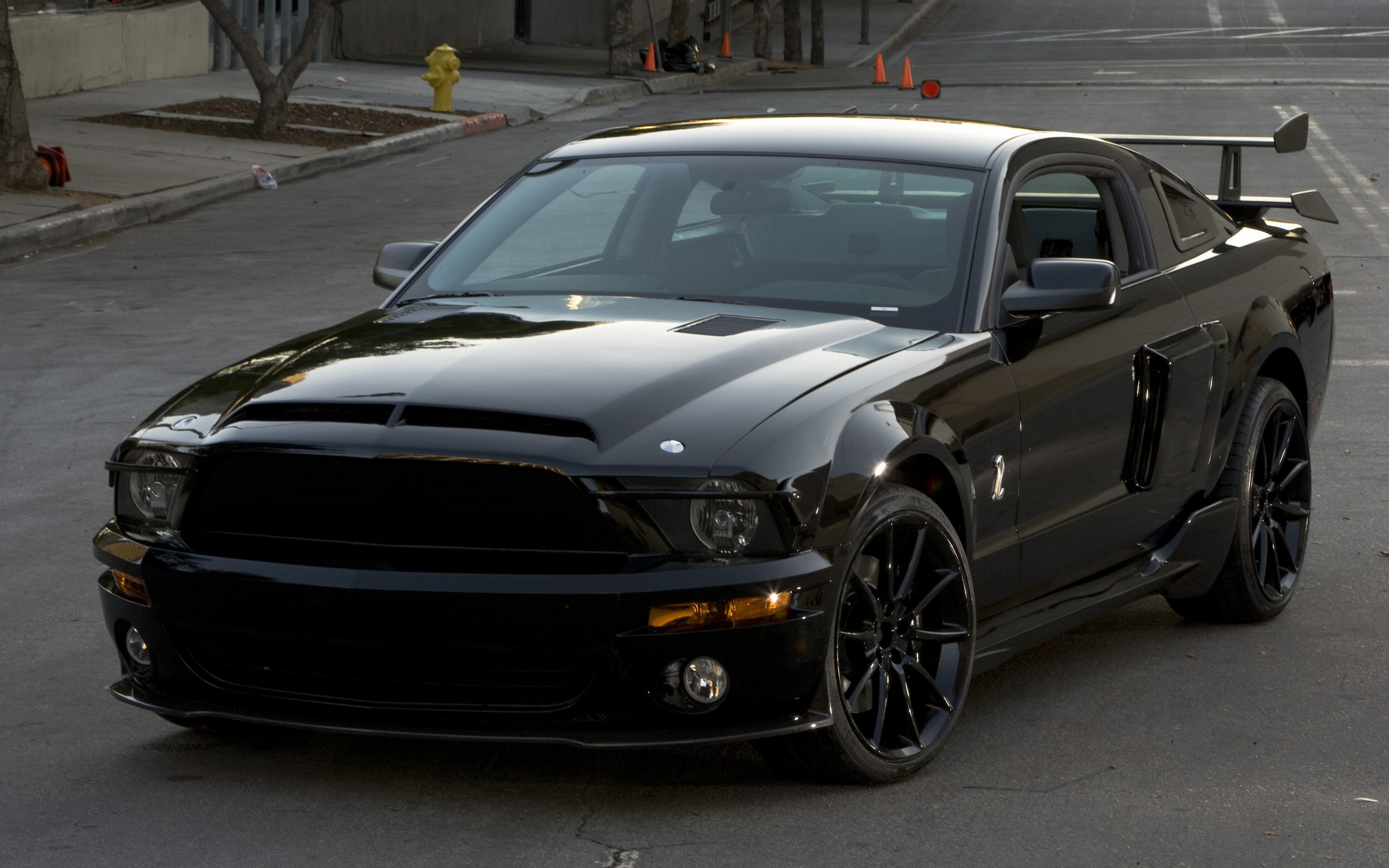 mustang, ford, shelby No 56120 Разрешение 2560x1600