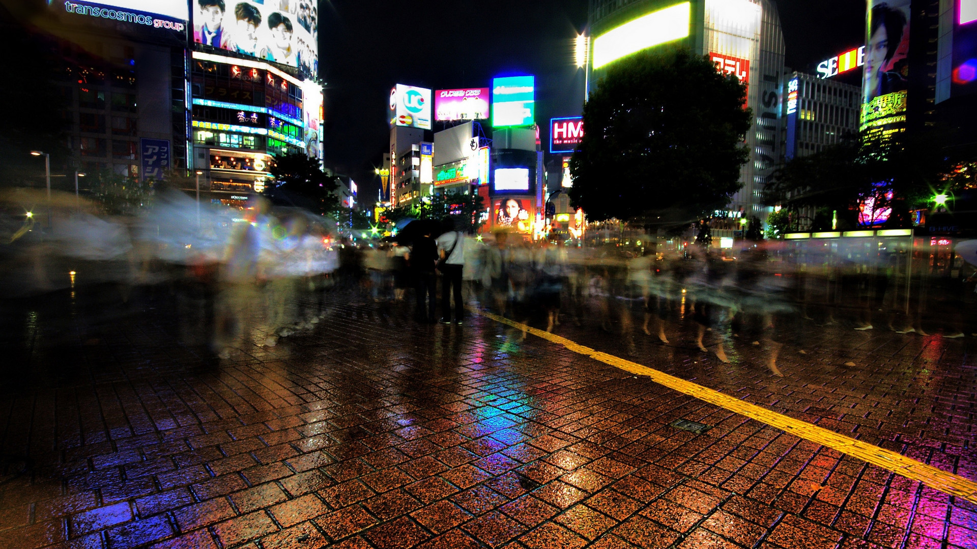 ночь, shibuya, like