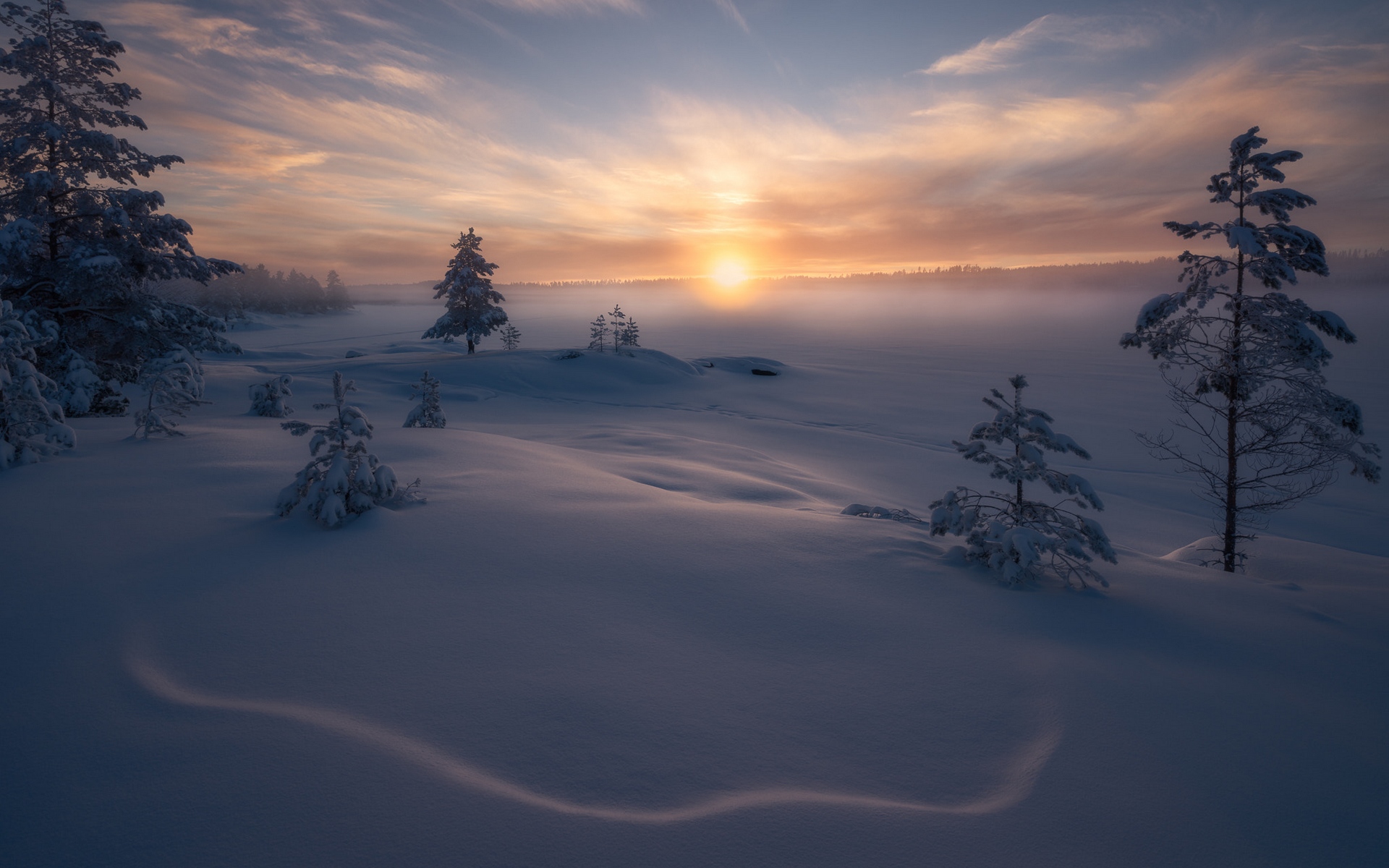 codziennie, strona, posiadamy