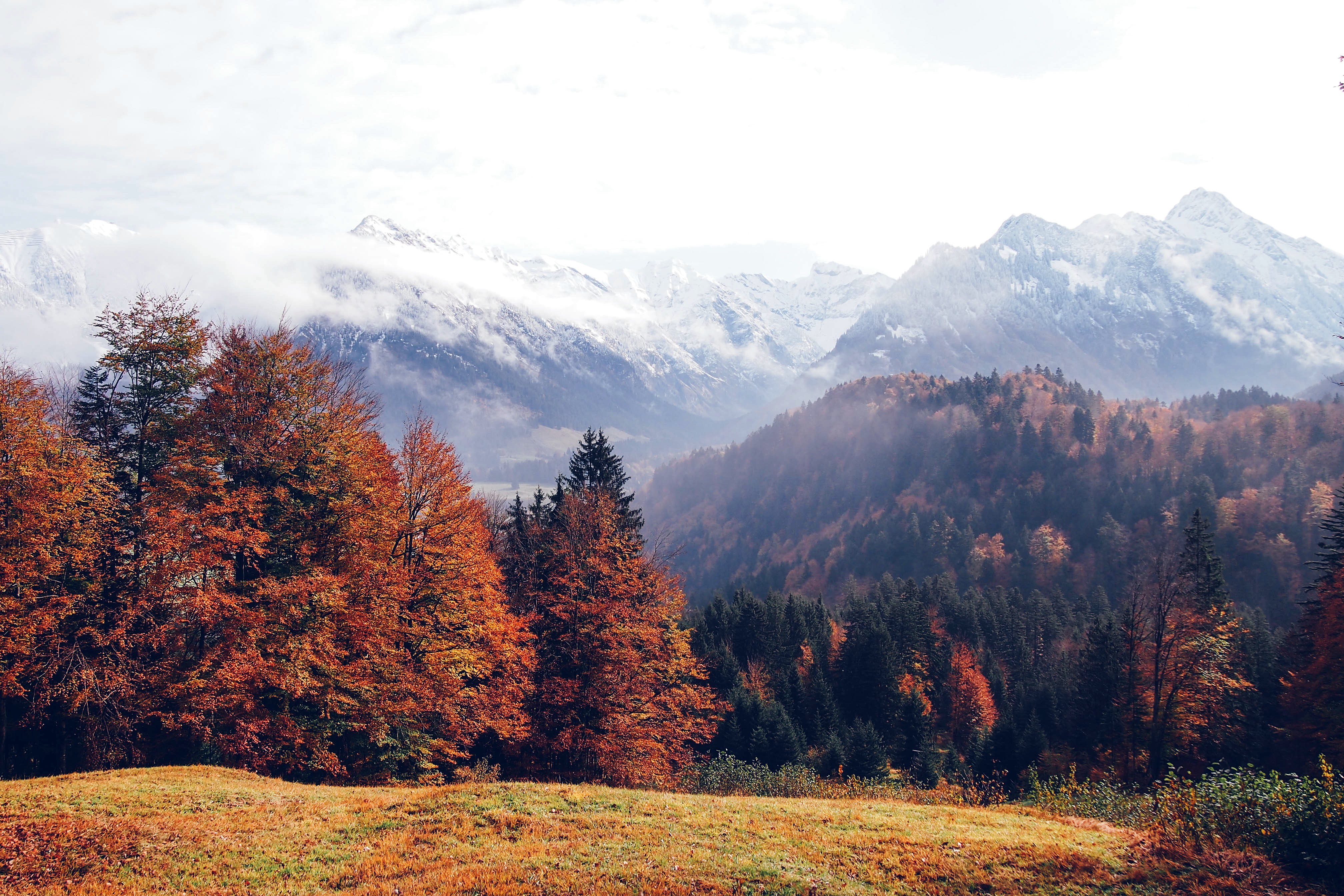 горы, лес, осень