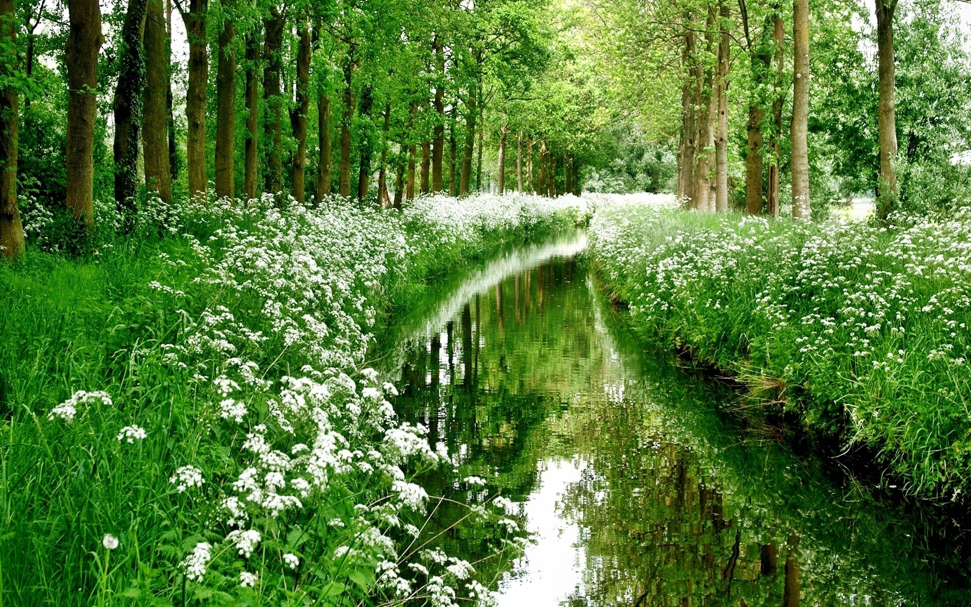 gras, unni, здравоохранение