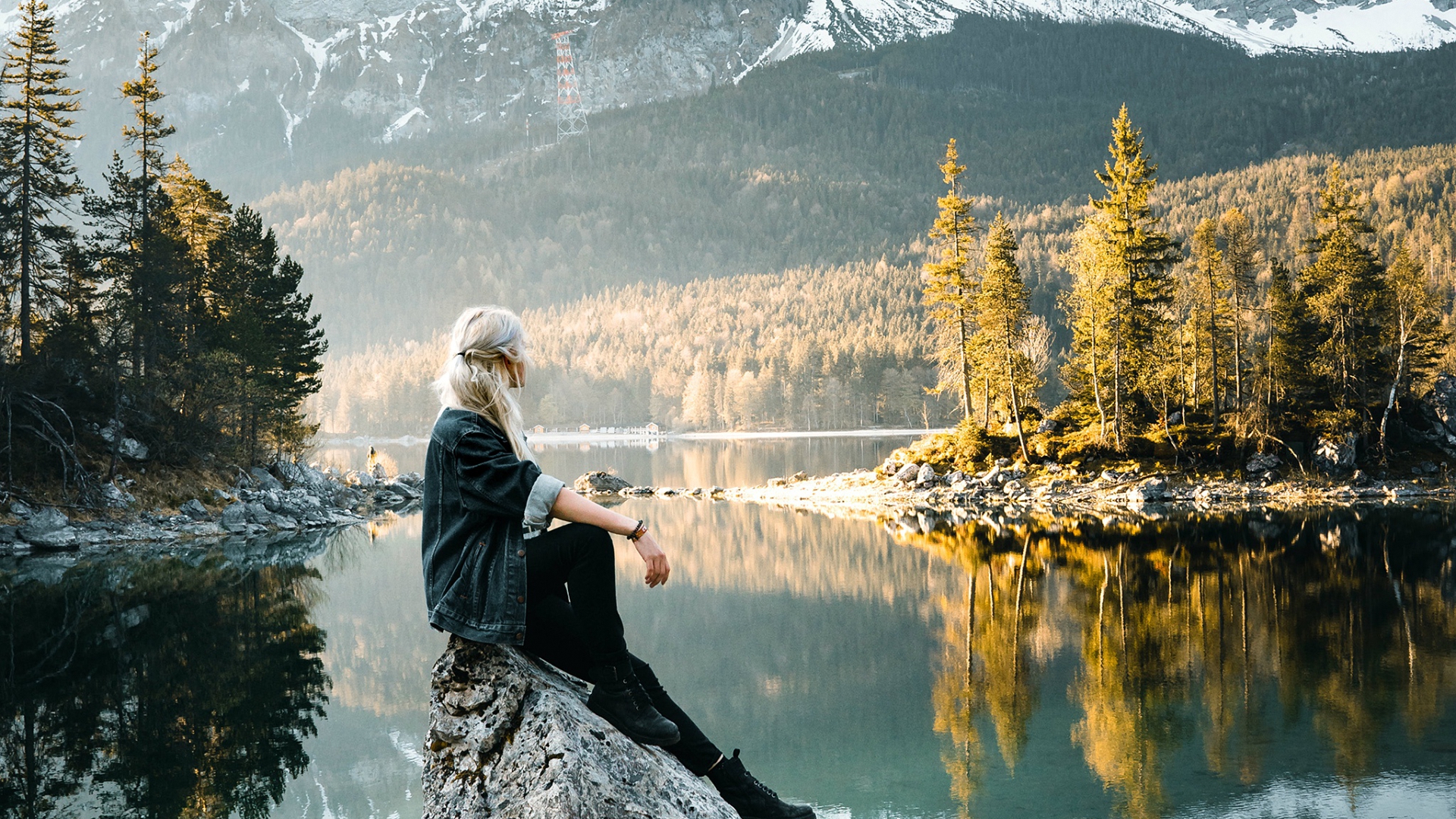 рыбы, муха, дро