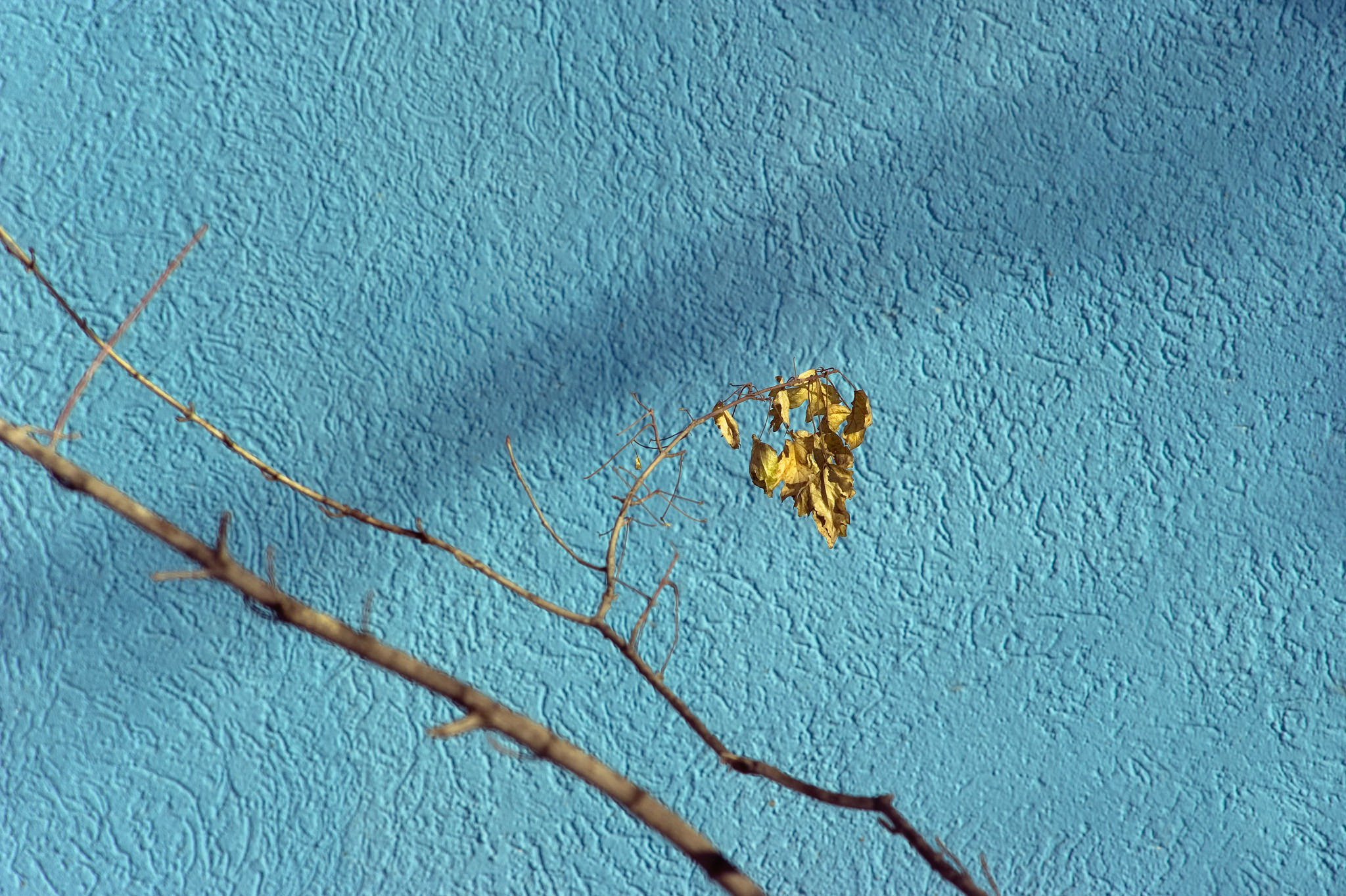 вон, фото, синий