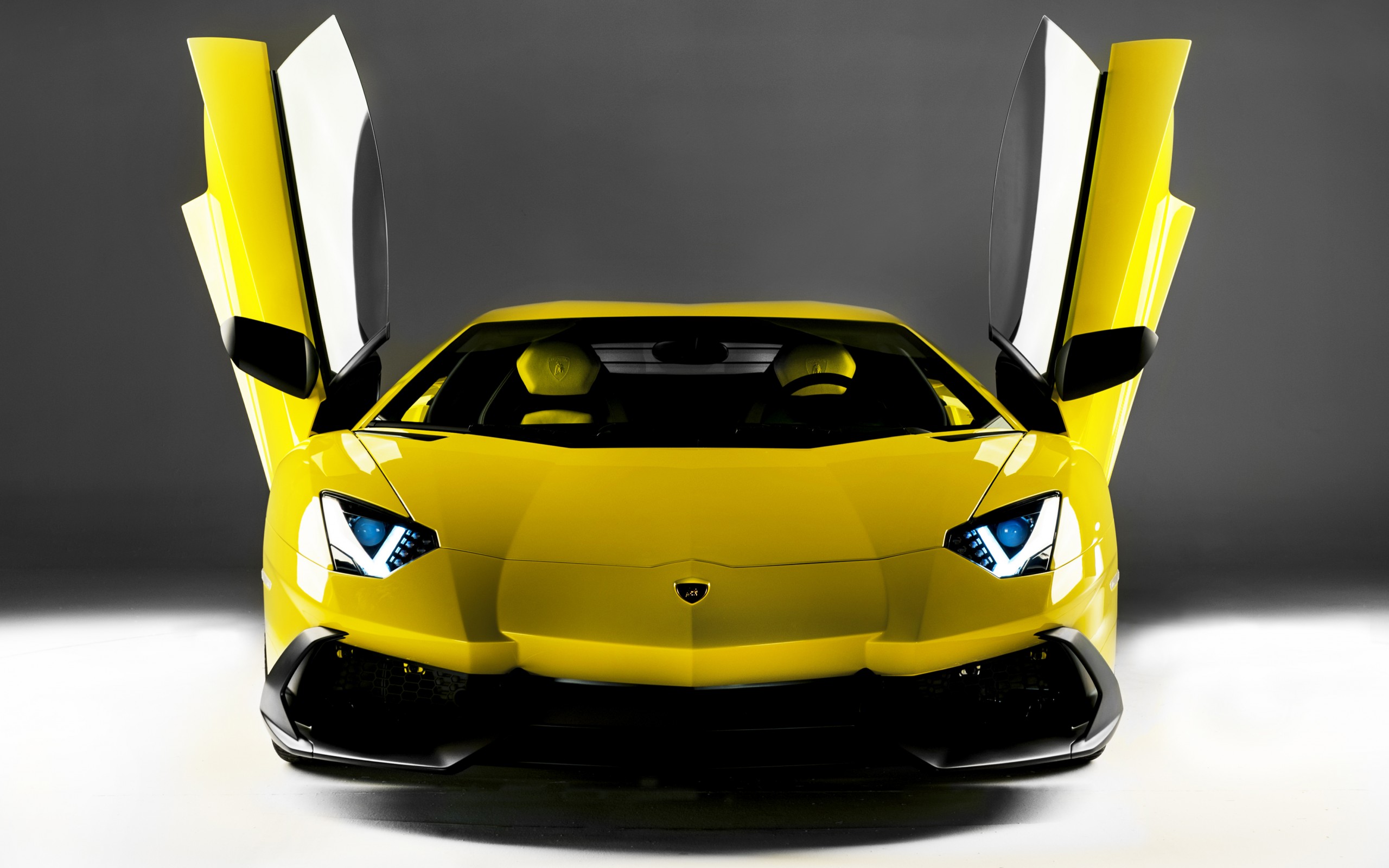 lamborghini, aventador, anniversario