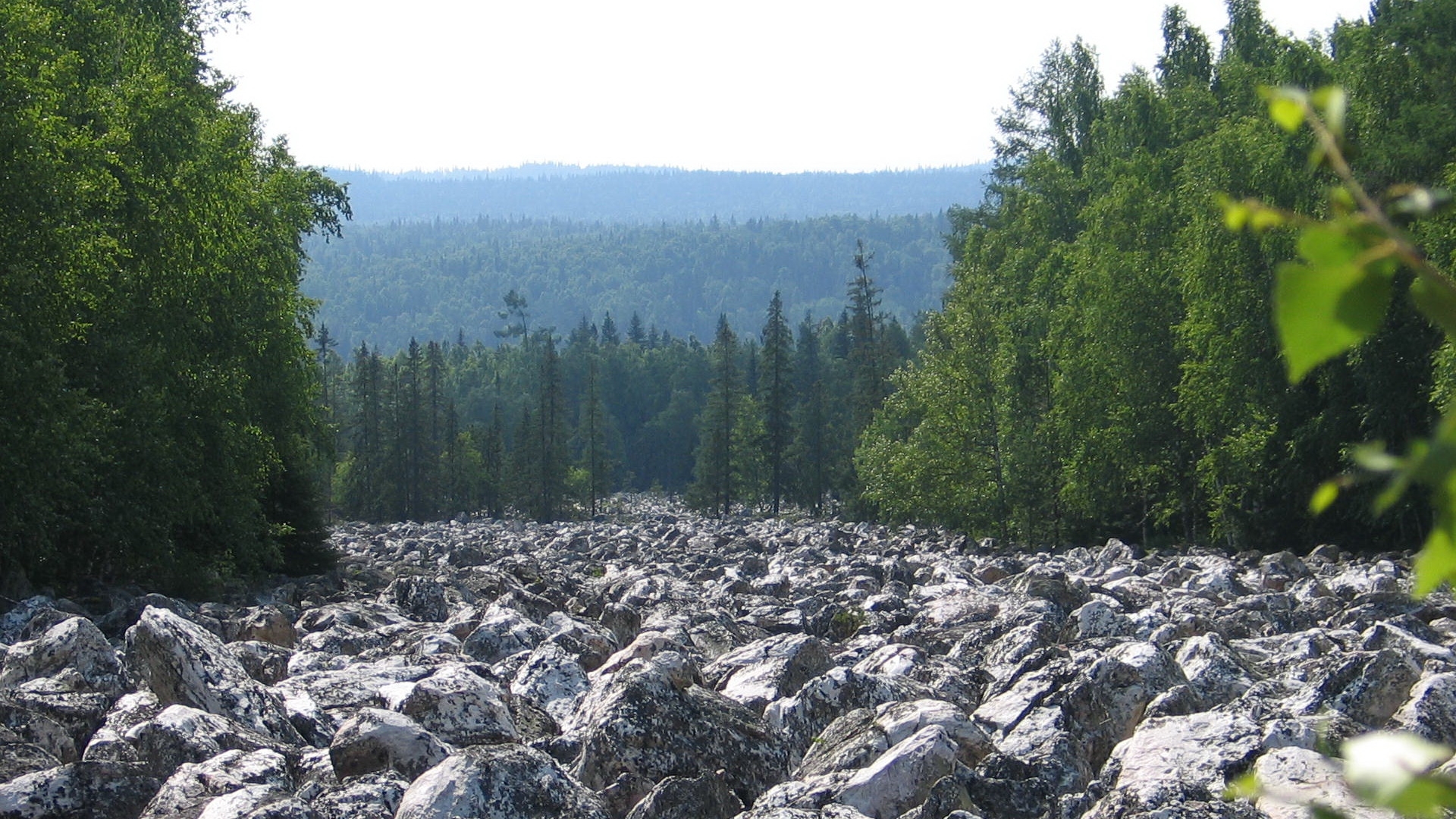 sağlık, genetik, gösterir