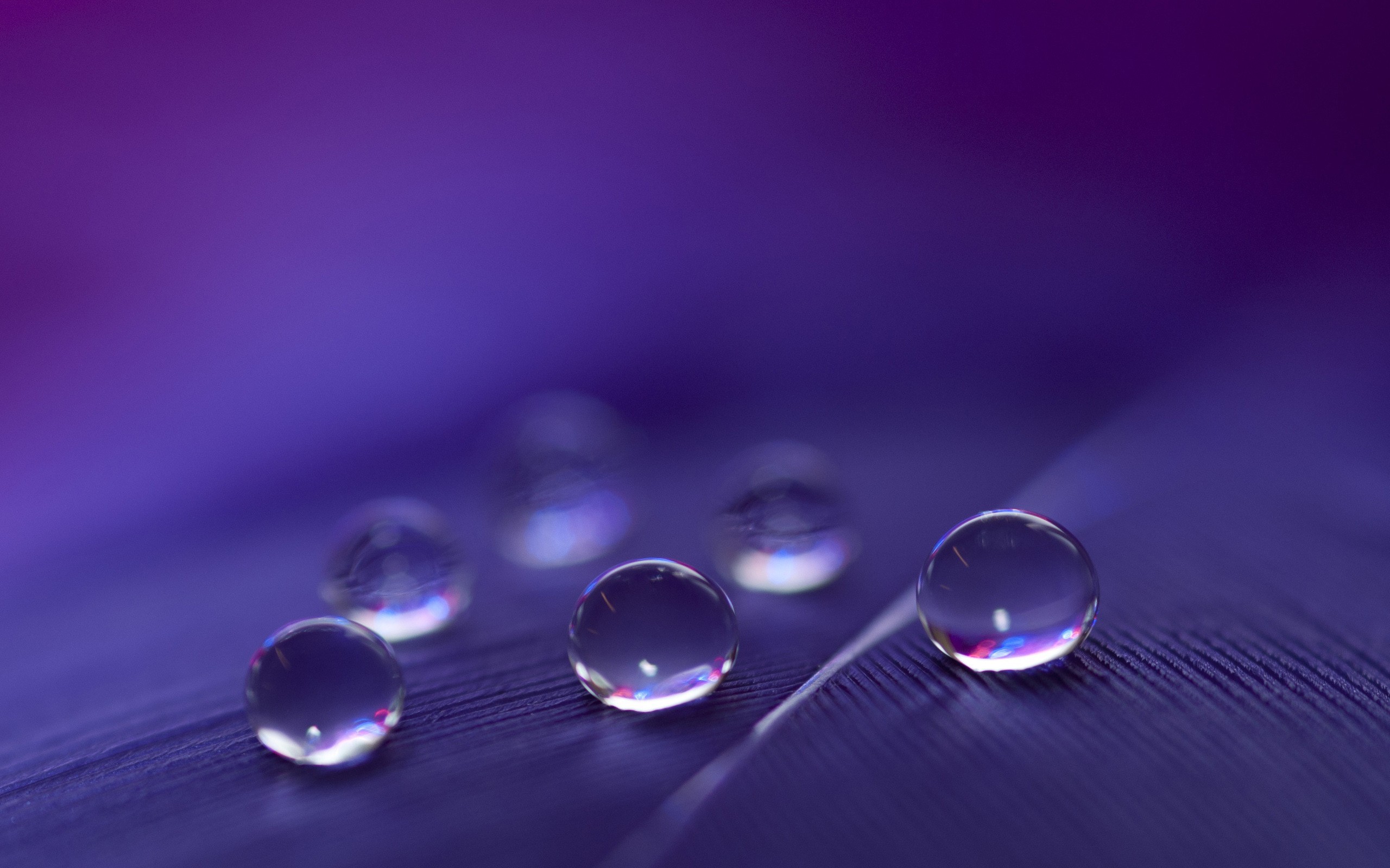 drop, water, mobile
