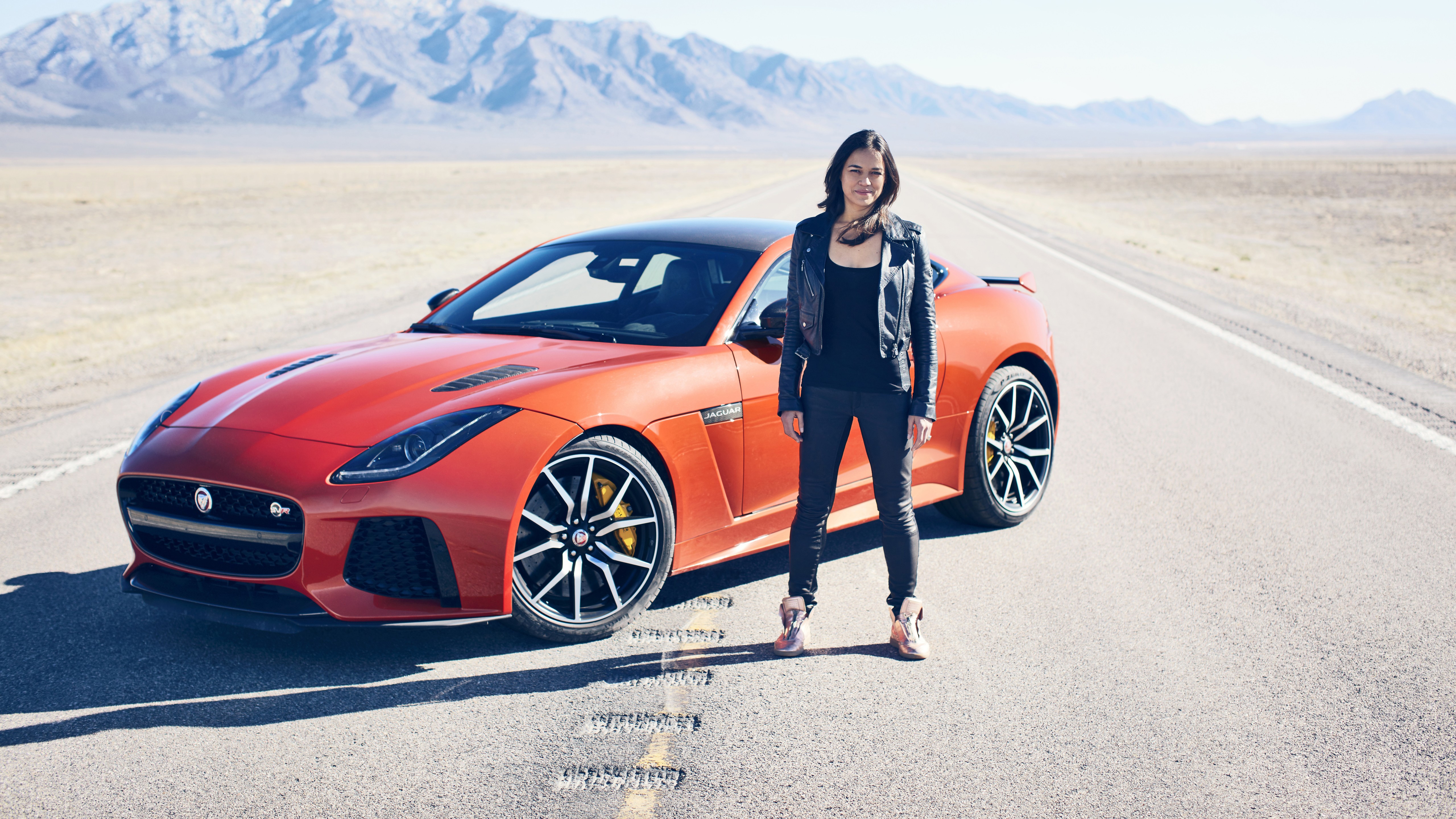 jaguar, вид, мишель