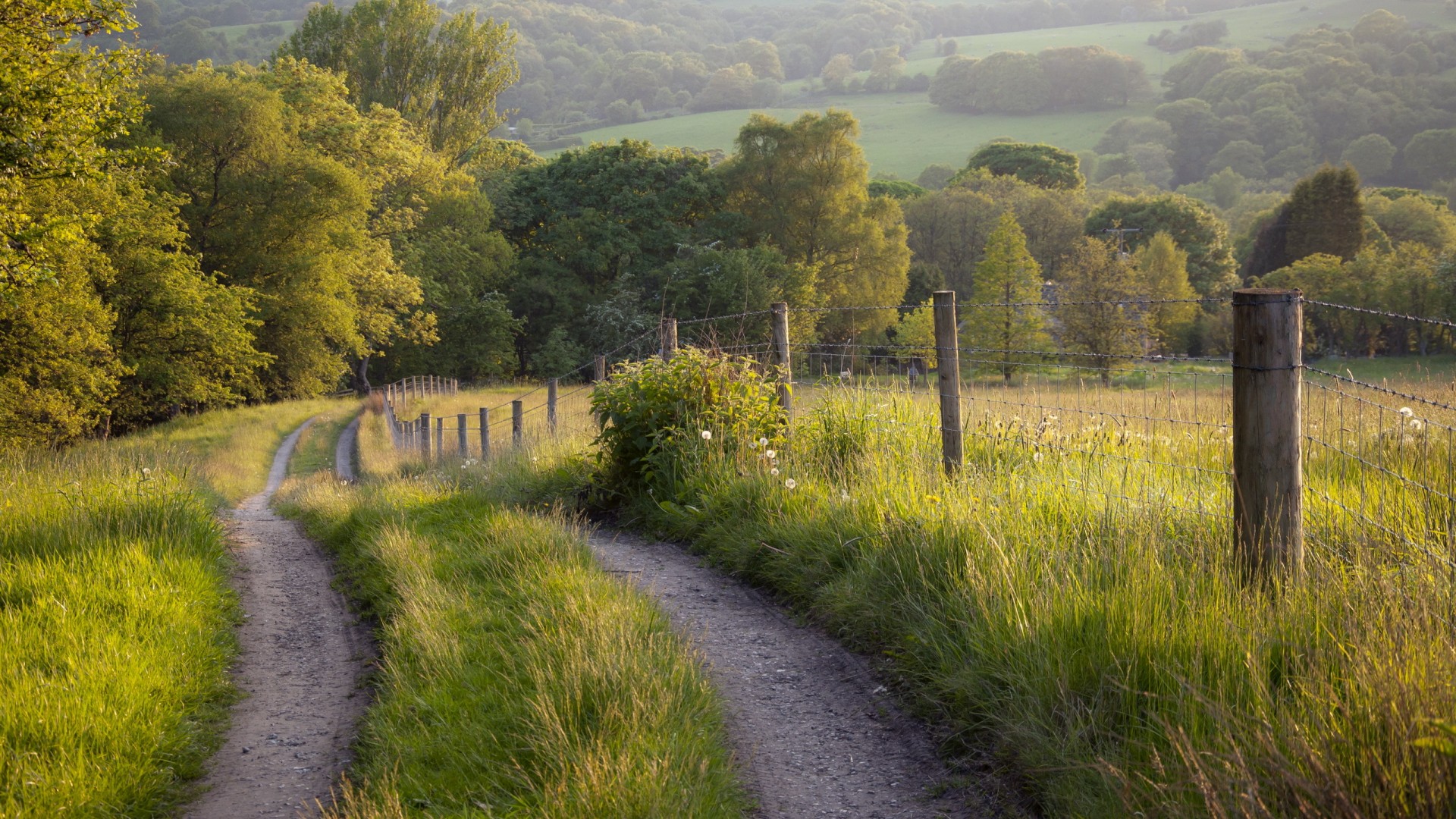 забор, пейзаж