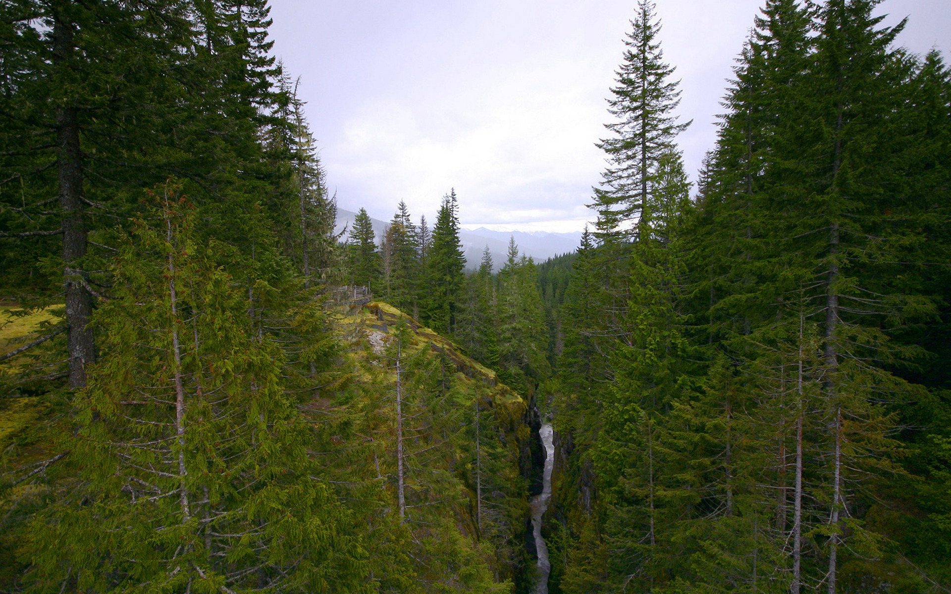 les, горы, репертуар No 96583 Разрешение 1920x1200