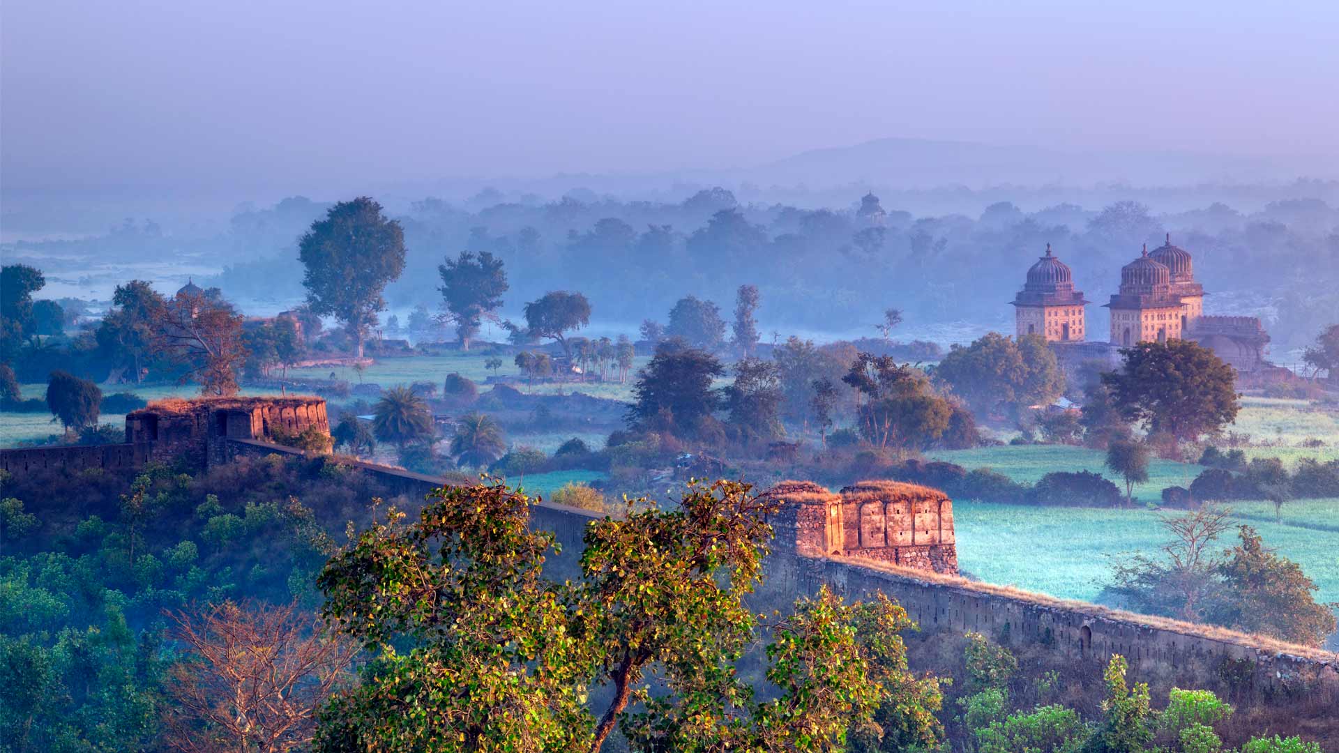 pradesh, madhya