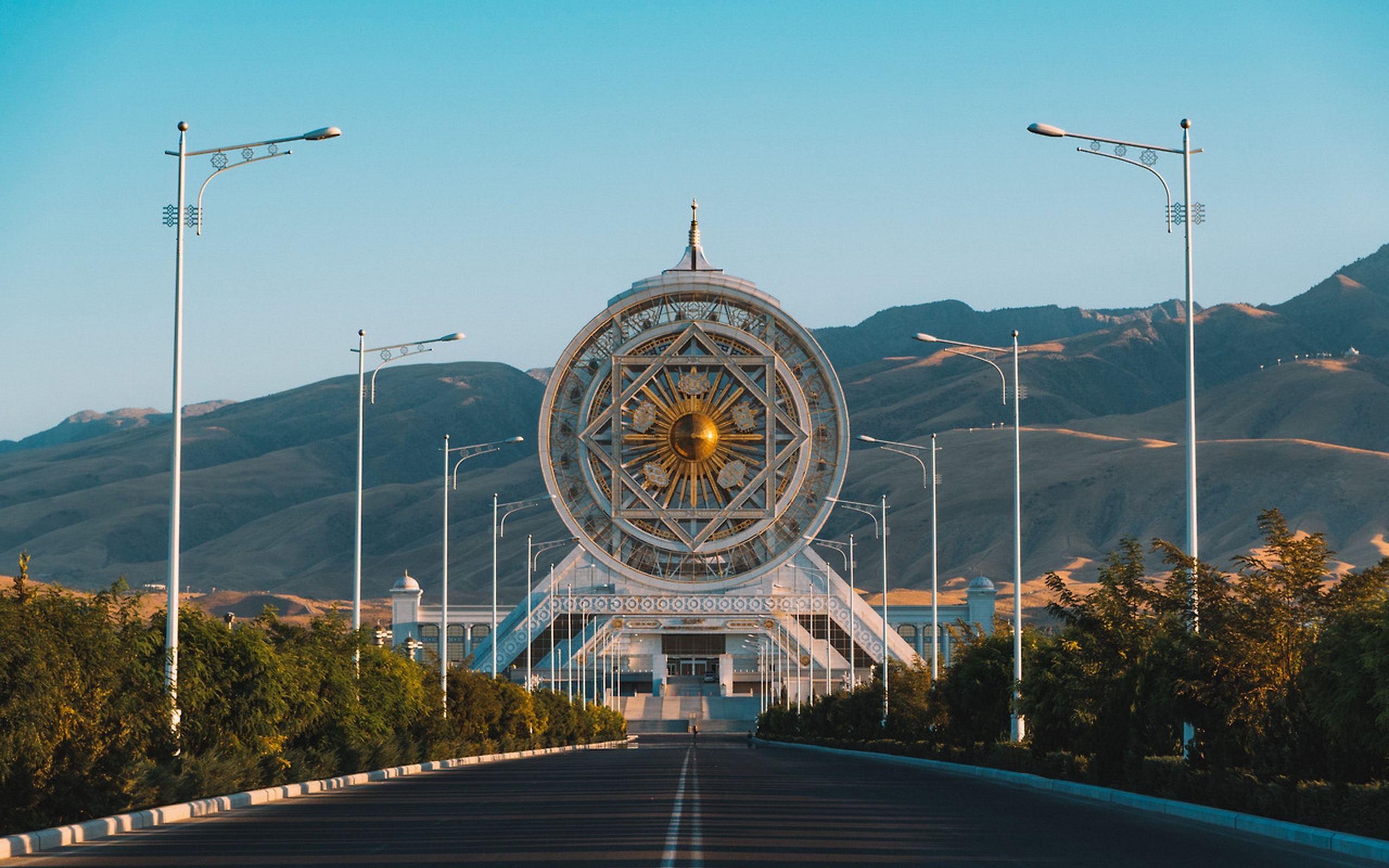 дерево, киргизия, kazakhstan