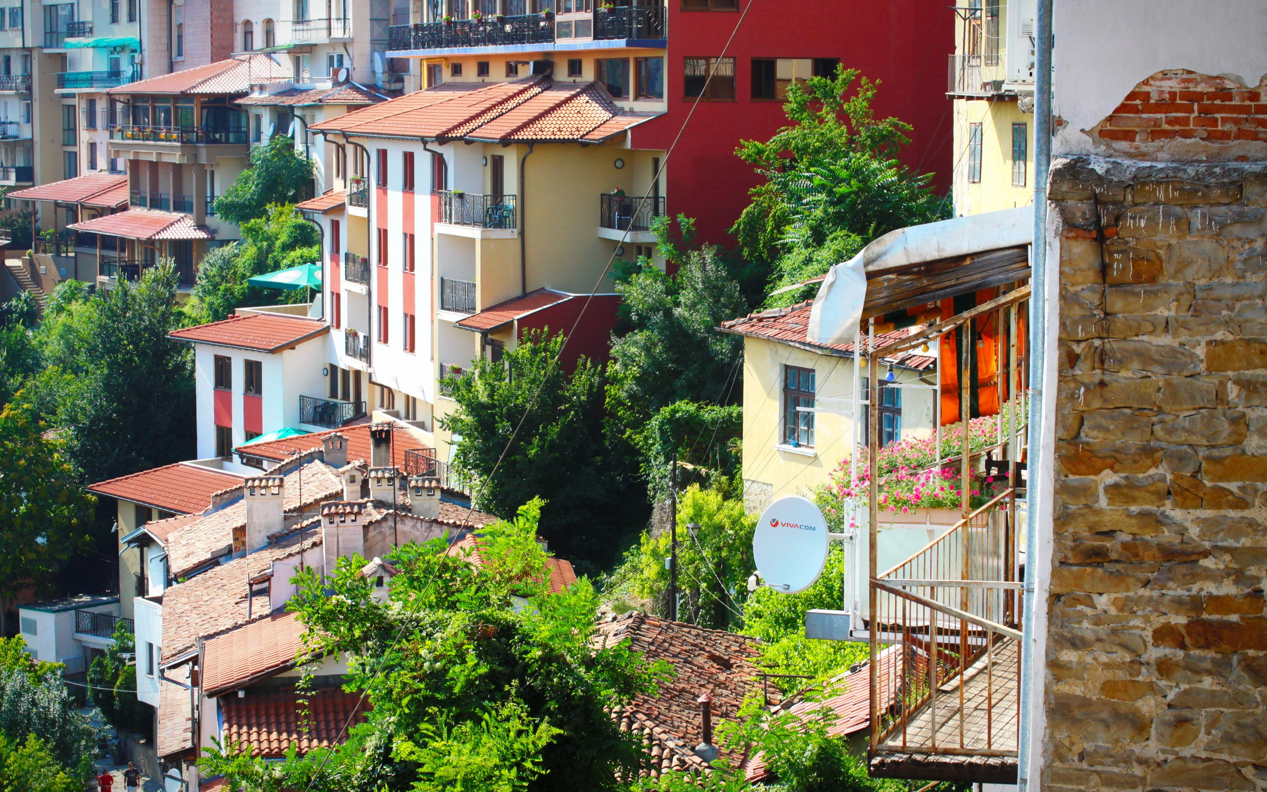 вид на город с множеством домов и деревьев