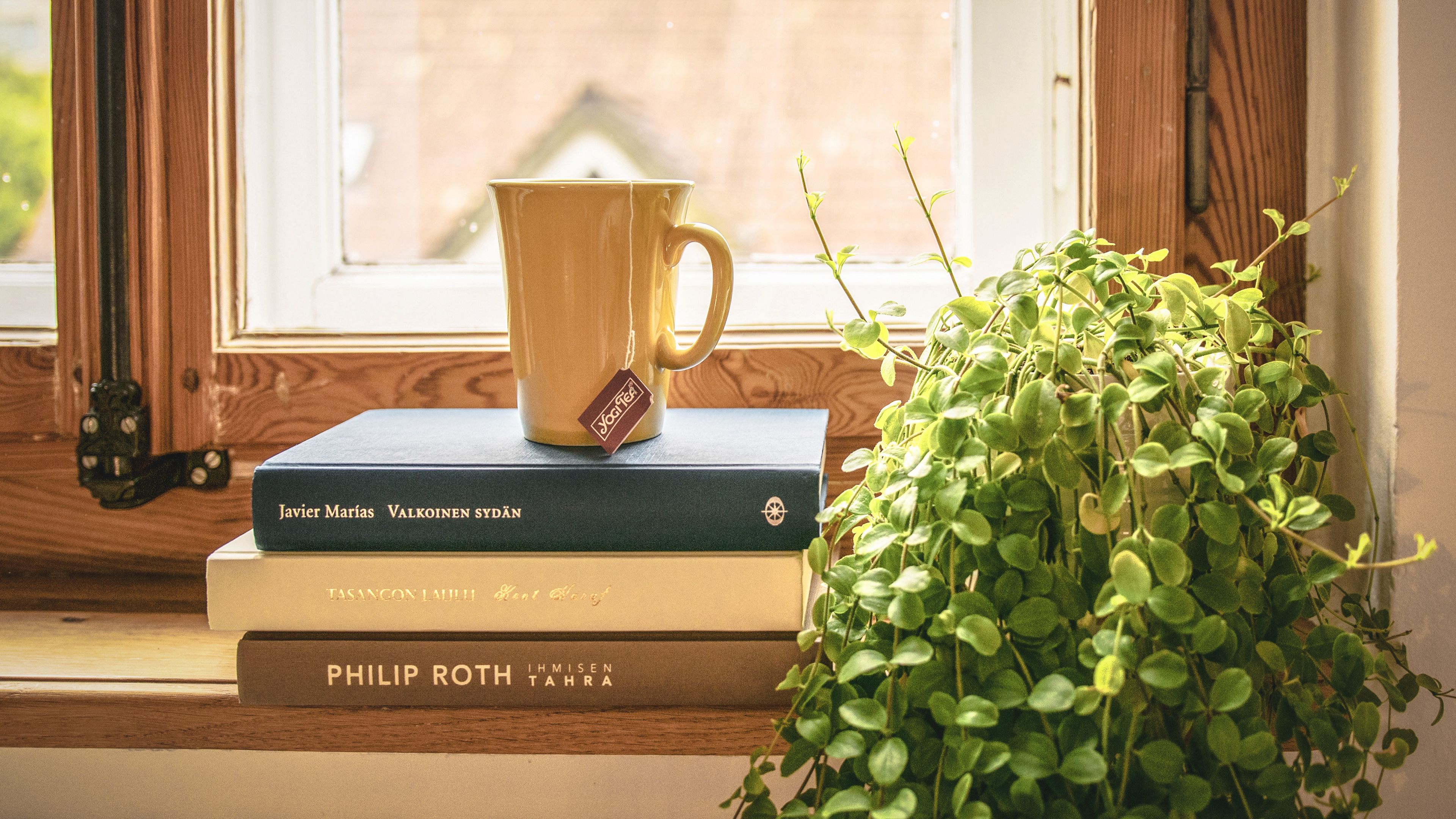 книга