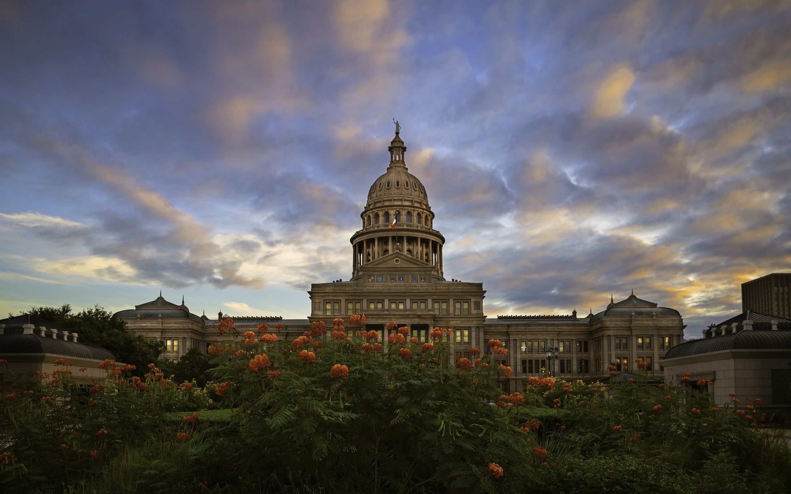 state, капитолий, texas