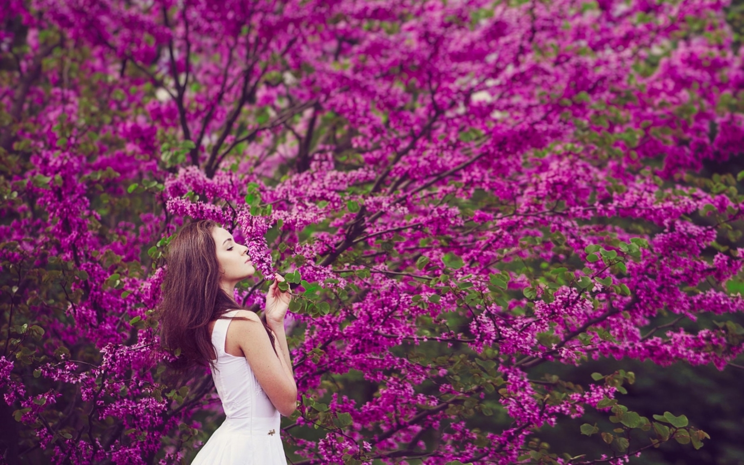 Spring user. Фотосессия в цветах. Фотосессия на фоне цветущих деревьев. Девушка весной.