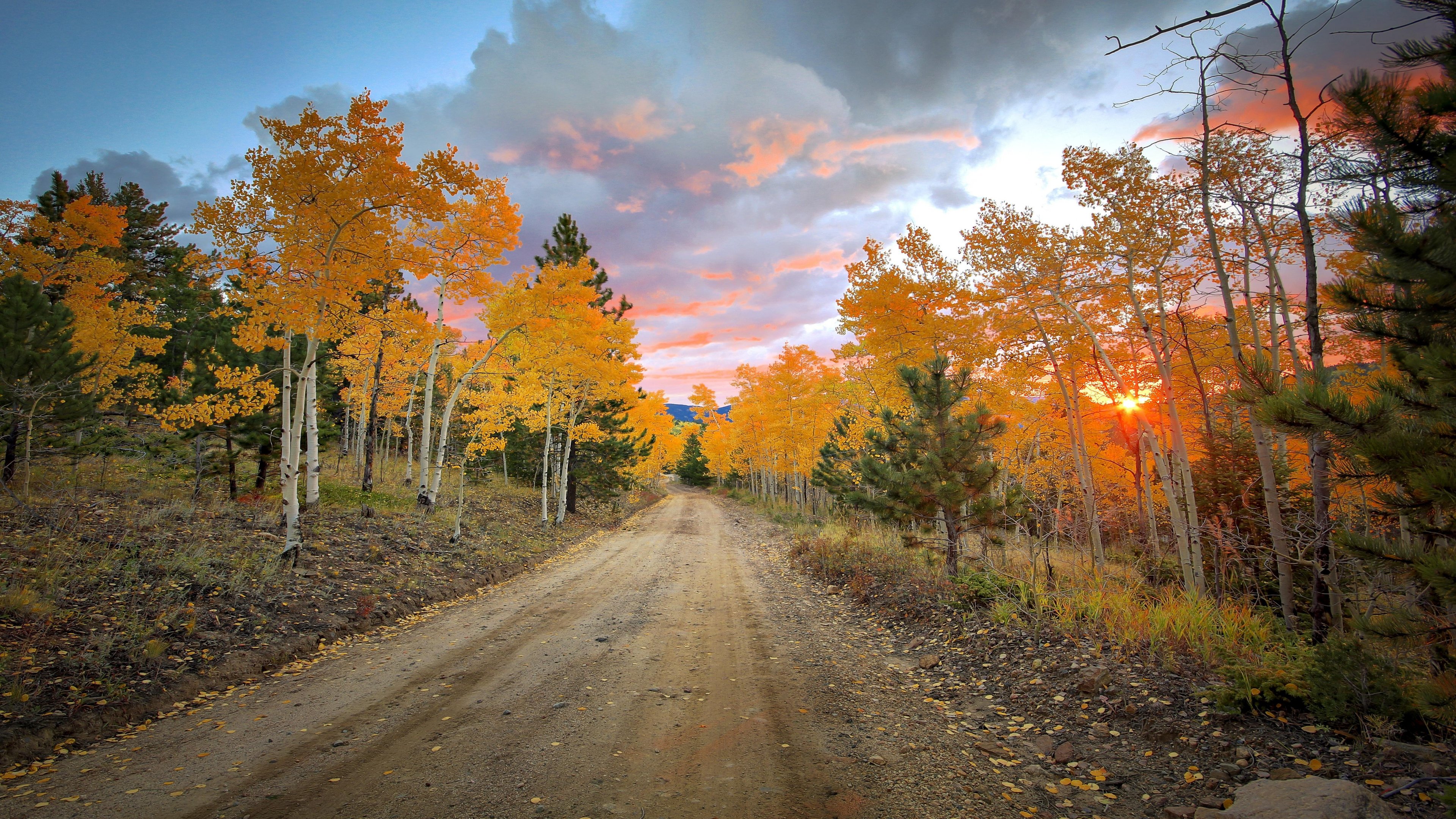 Осенняя дорога домой. Осенняя дорога. Дорога в осень. Осенняя дорога в лесу. Осенний пейзаж с дорогой.