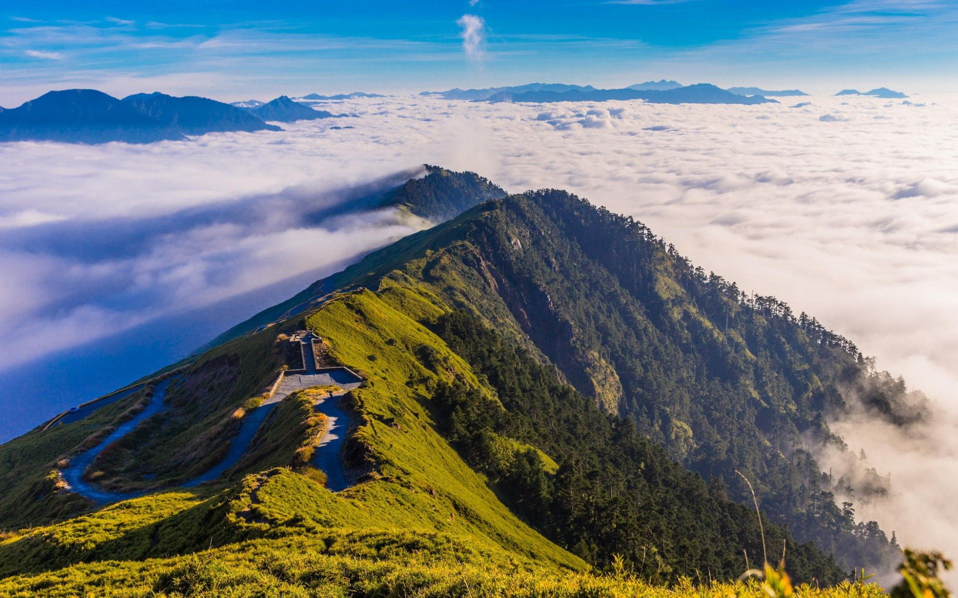 https, pantalla, afc