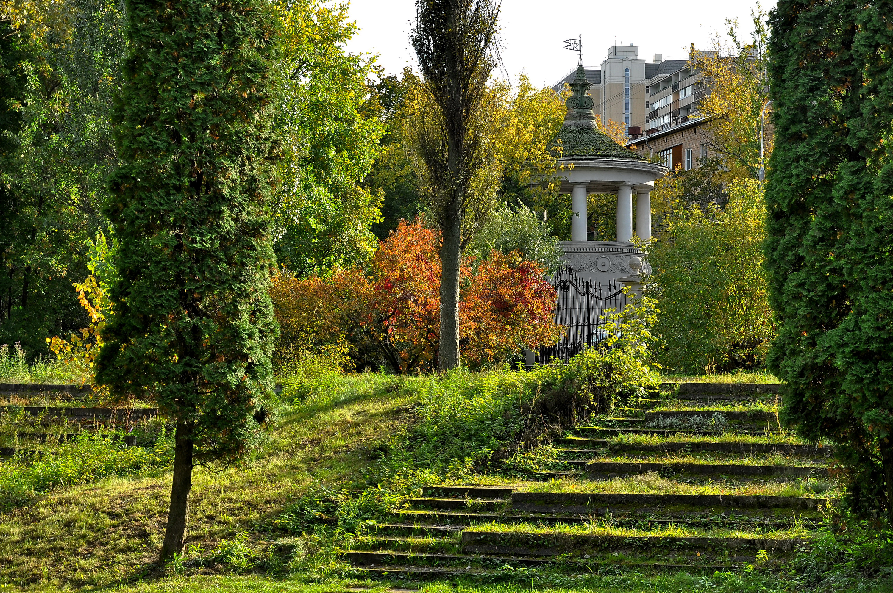 Gardens moscow. Ботанический сад Москва. Парк Ботанический сад Москва. Ботанический сад Владыкино. Ботанический сад Москва лестница.