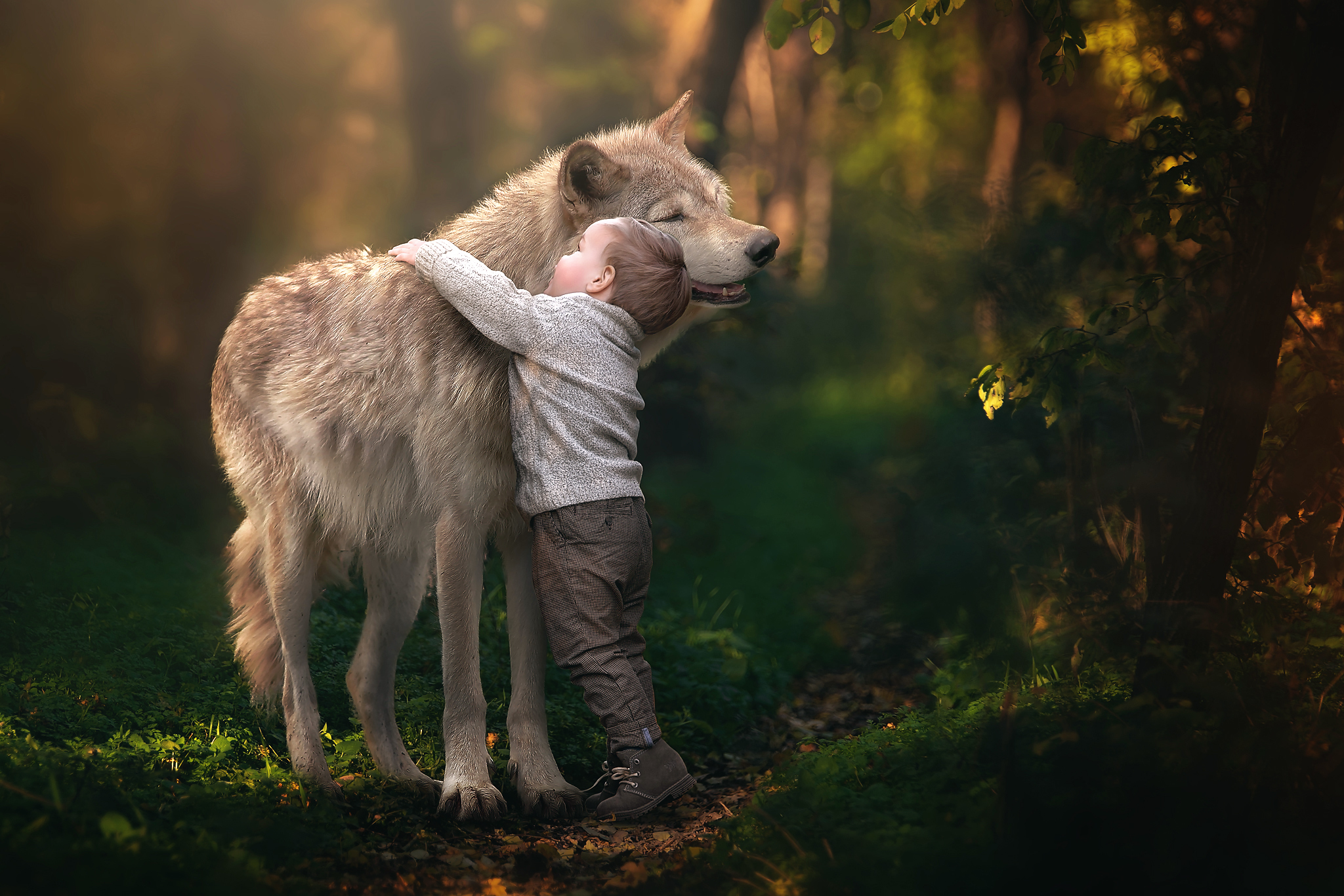 Дети живущие с животными. Добрый волк. Люди и животные. Дикие животные и человек.