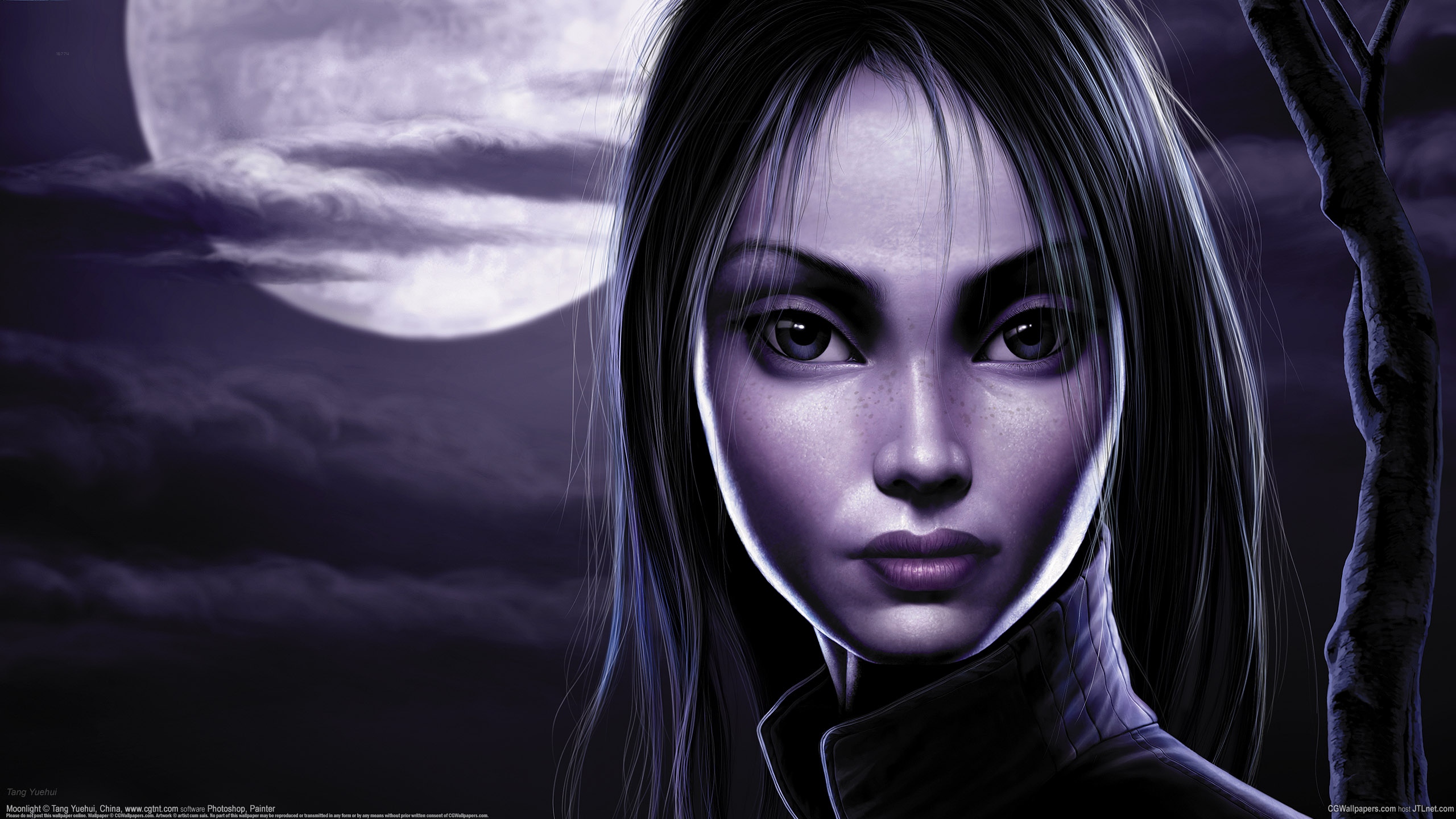 под, книга, луна