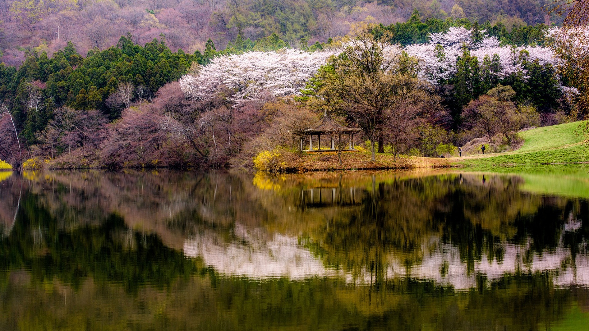 деревья отражаются в воде озера с беседкой