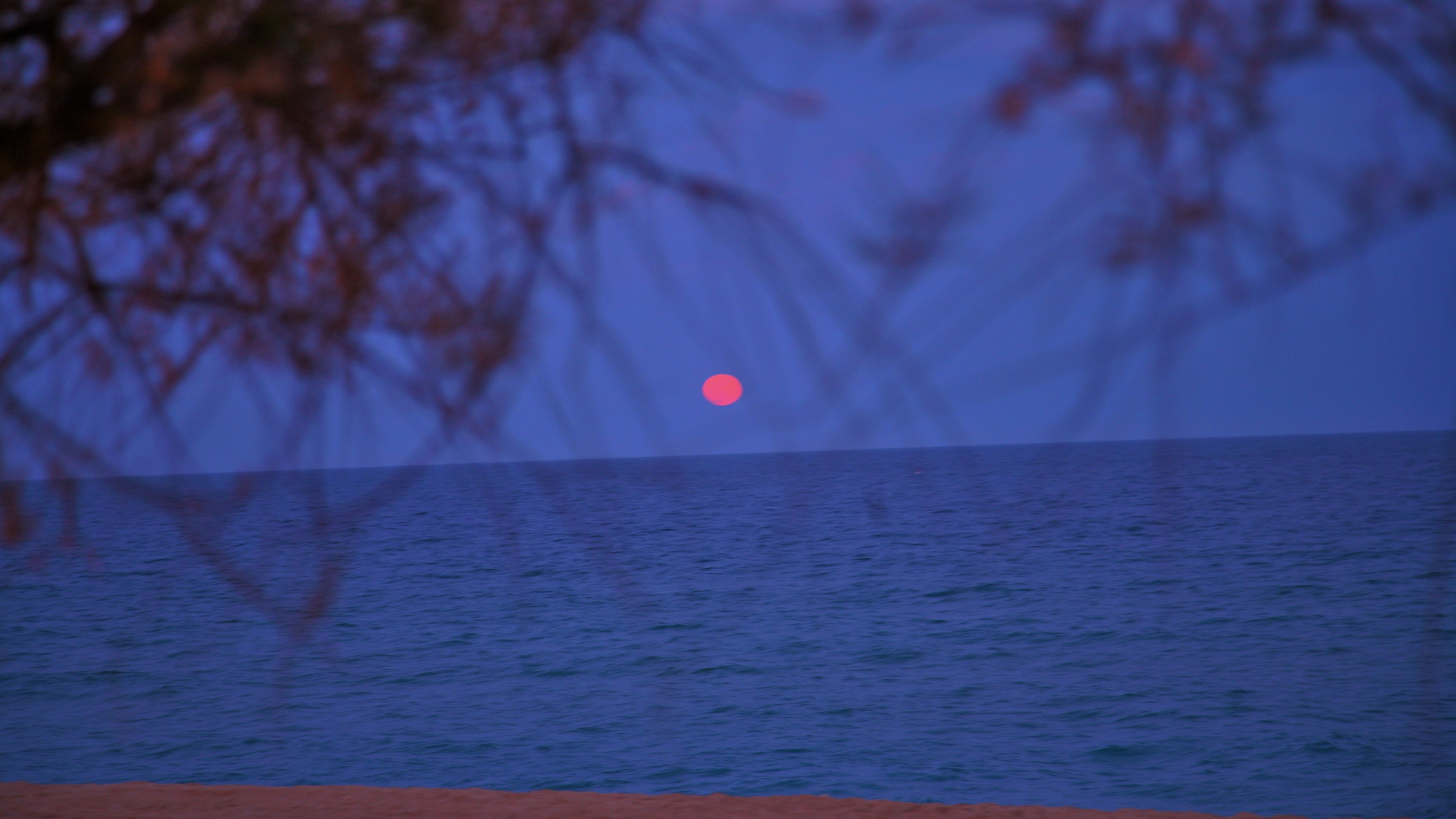 женский вид полной луны над океаном