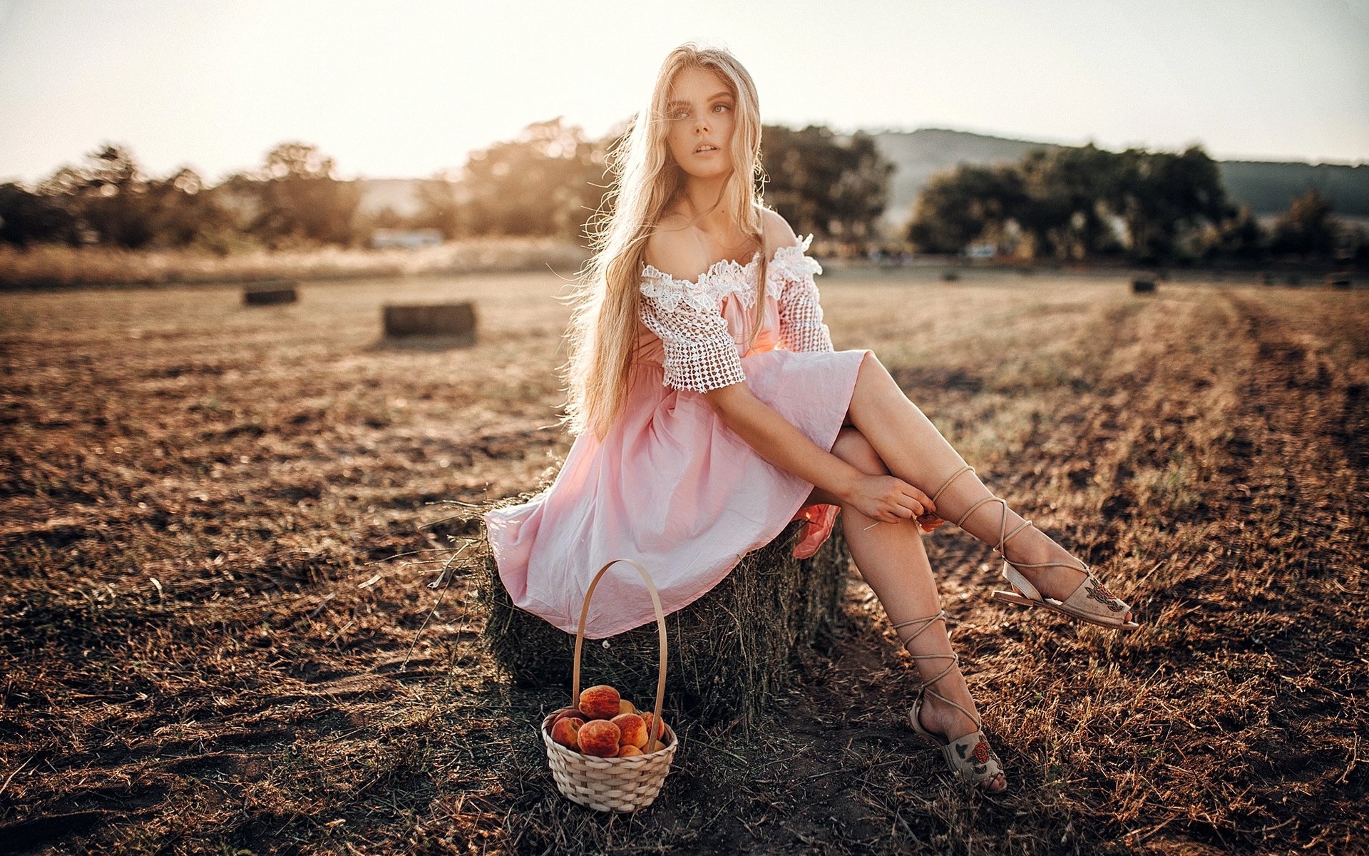 жесткий, фрейер