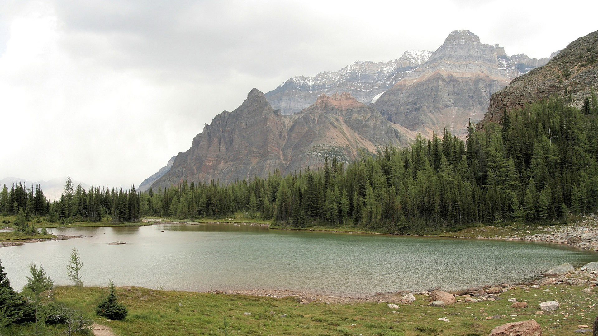 природа, обои 1920x1080