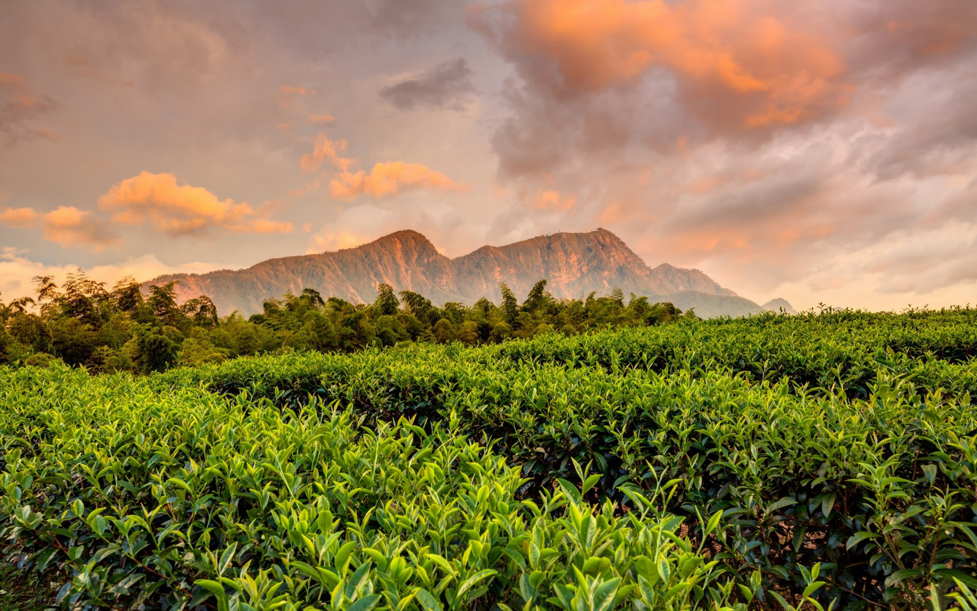 раковина, времена