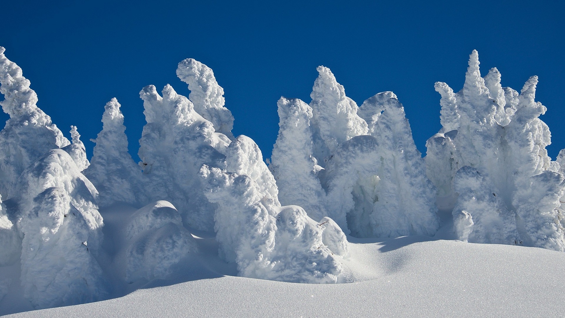 большой, брезент, фото