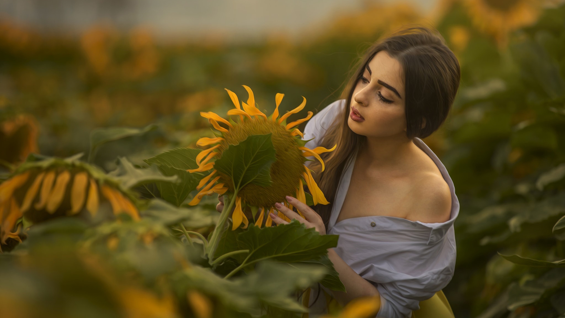 mujere, girasole, pantalla