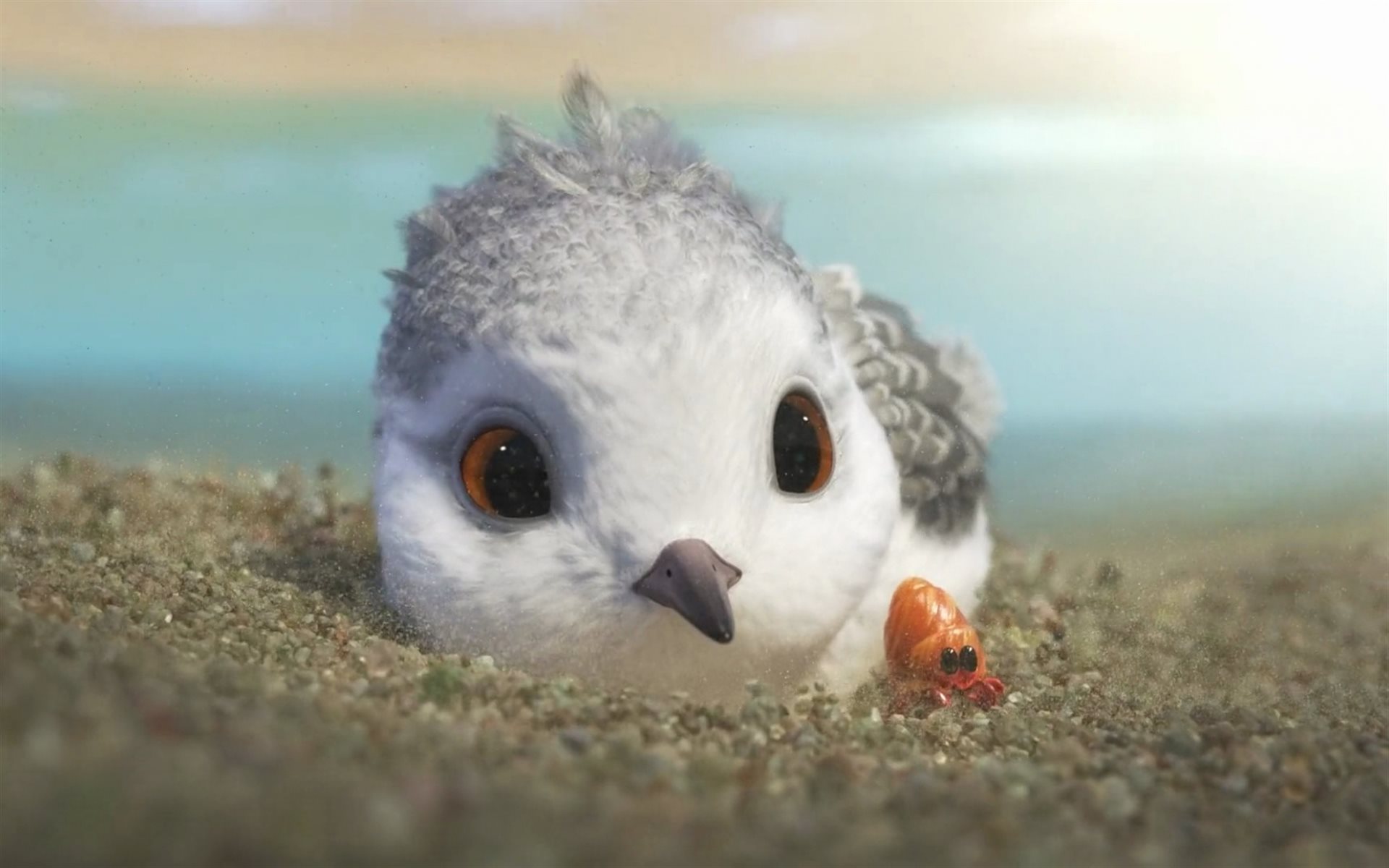 мультфильмы птицы piper pixar загрузить