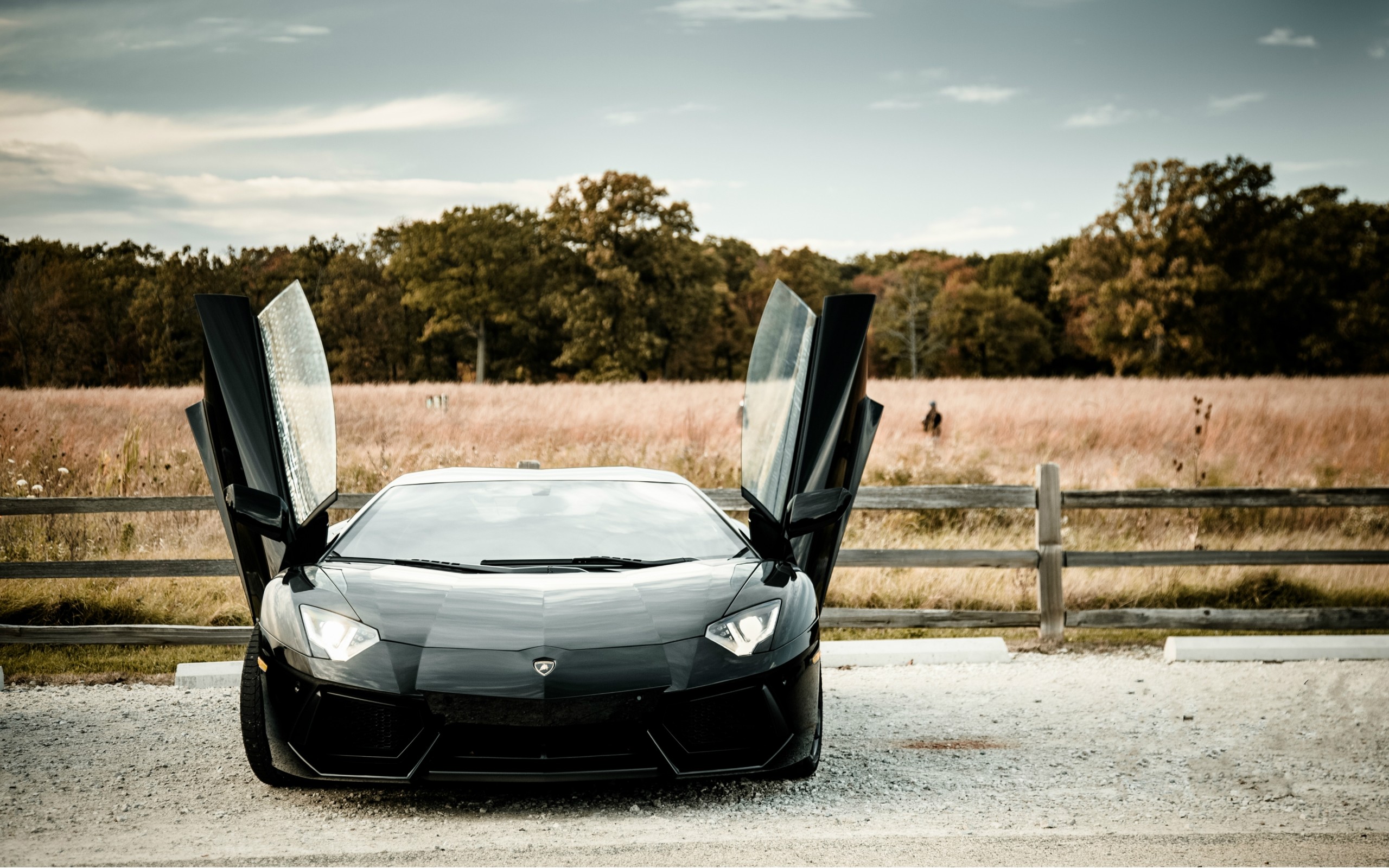 Lamborghini Aventador Doors