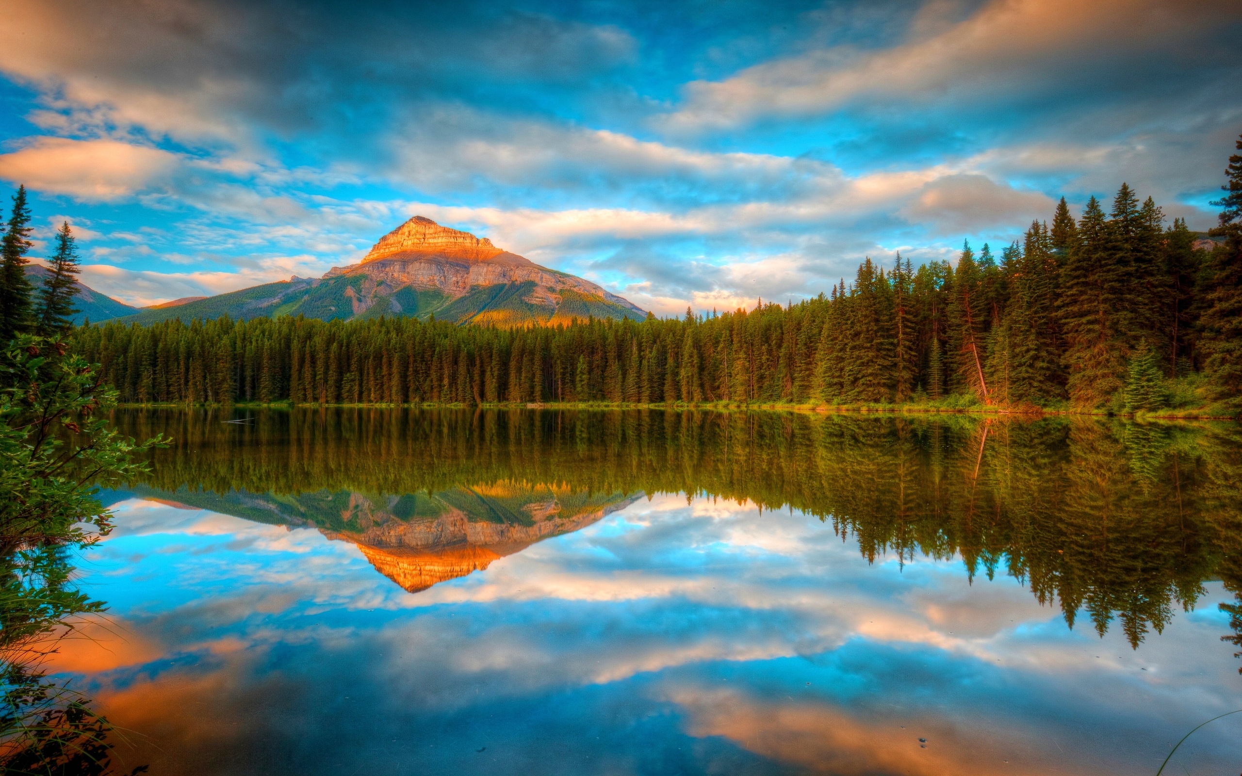 Природа 255244