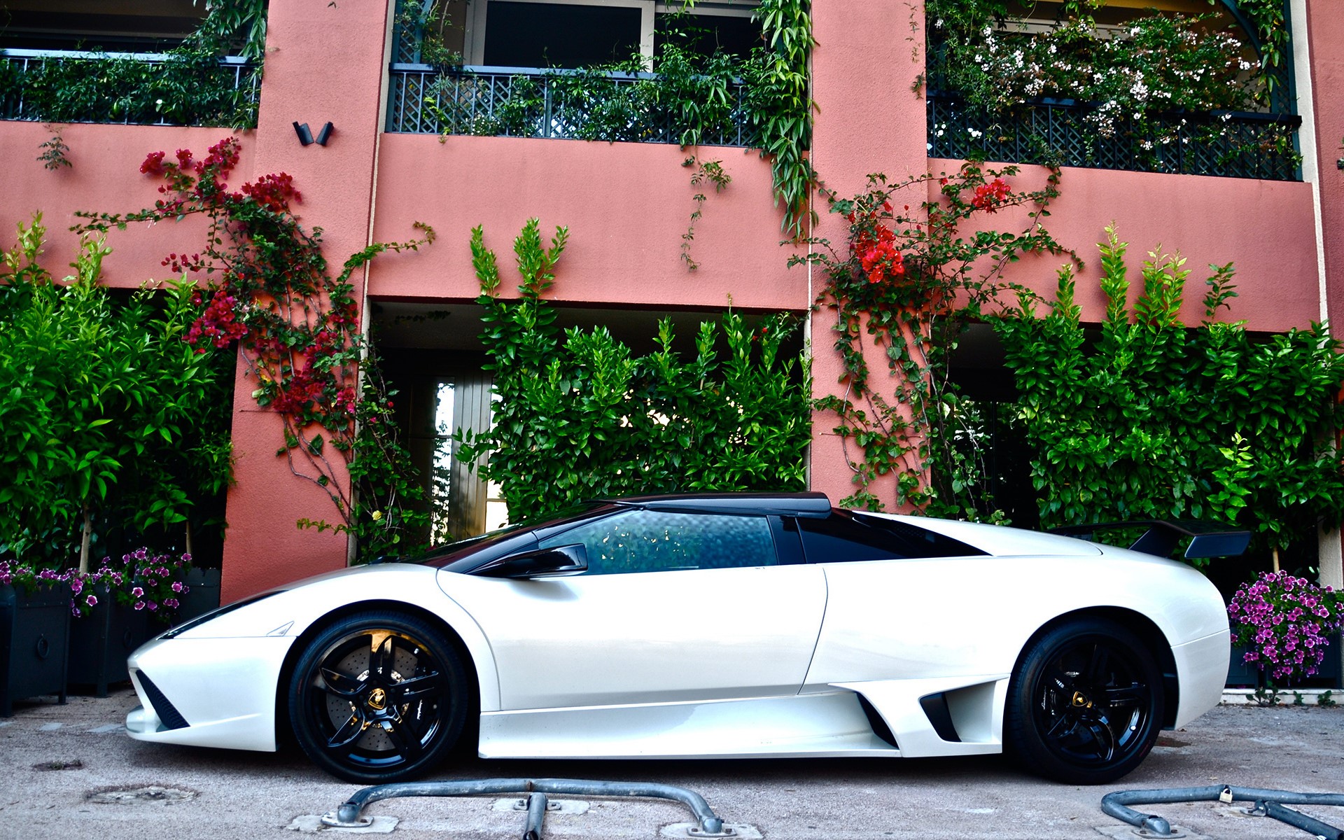 lamborghini, белый, murcielago No 61830 Разрешение 1920x1200