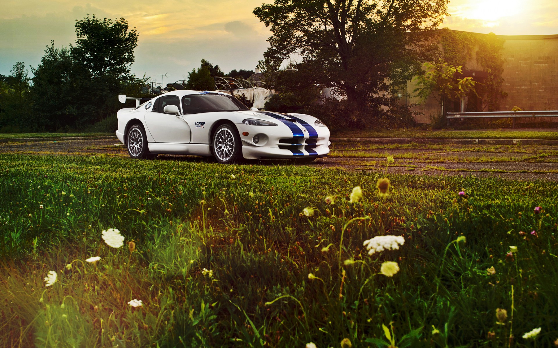 dodge, viper, srt
