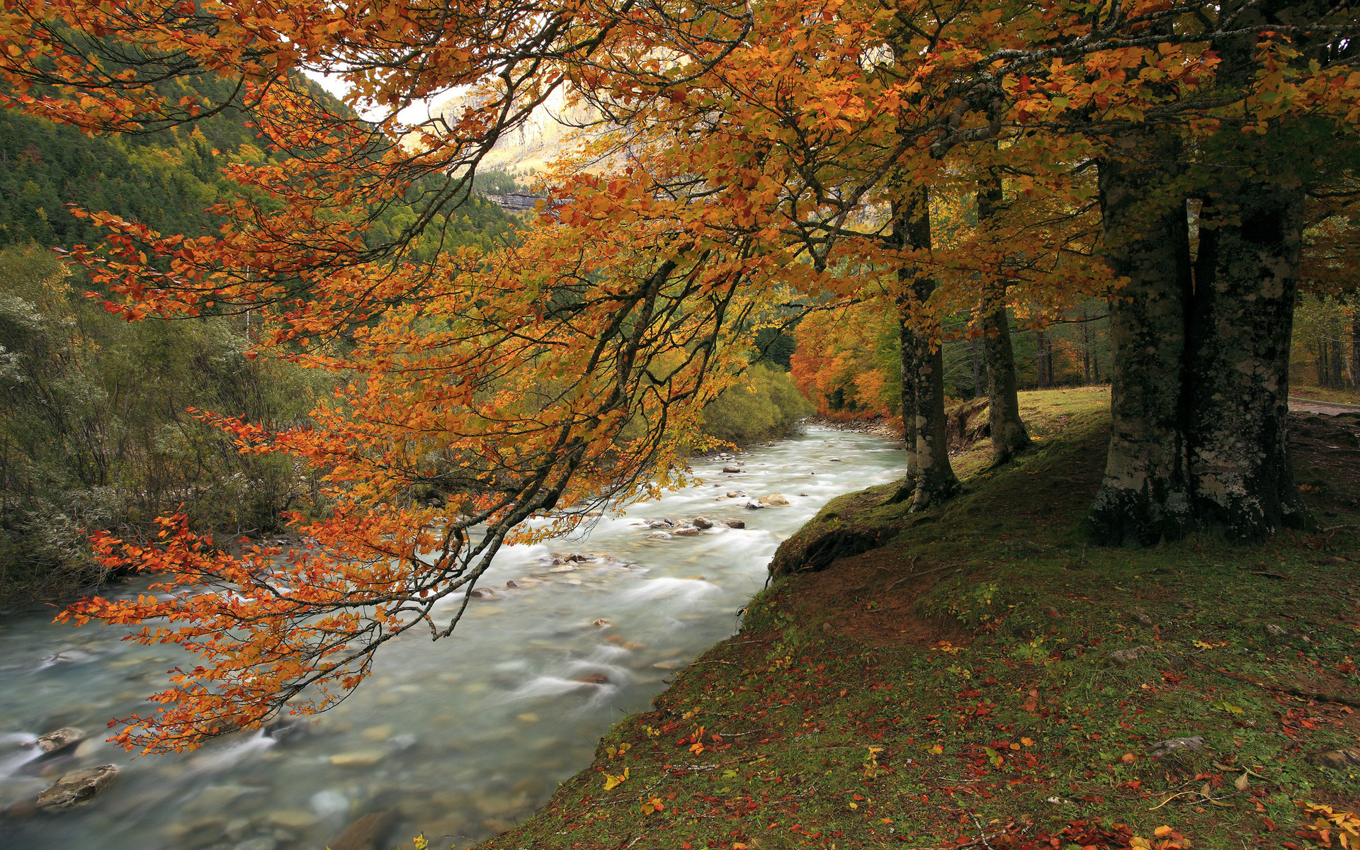 Осенние пейзажи вдоль реки загрузить
