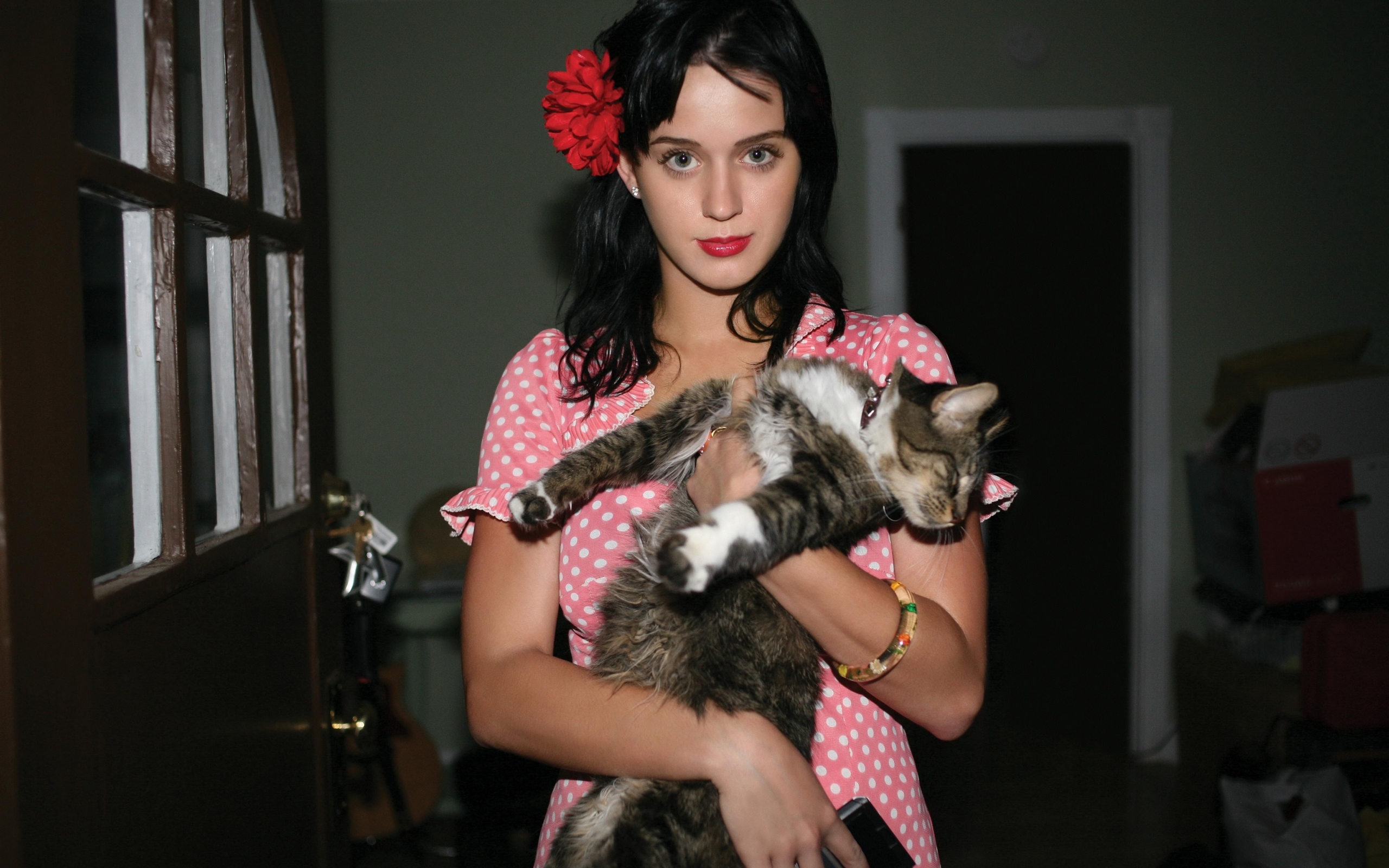 katy, perry, perry
