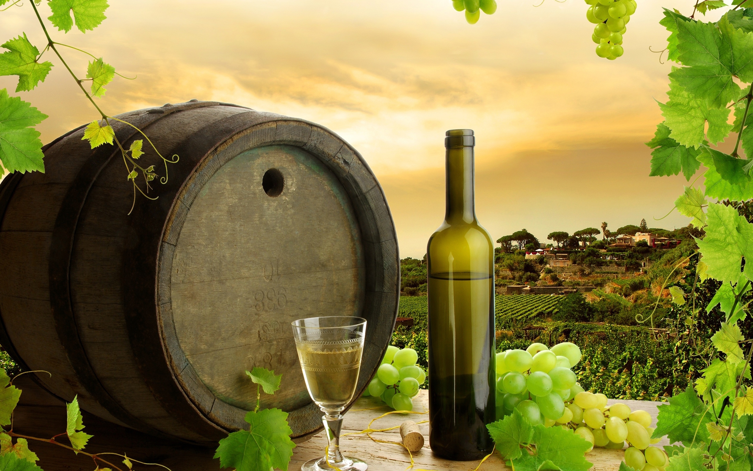 винная бочка, вино